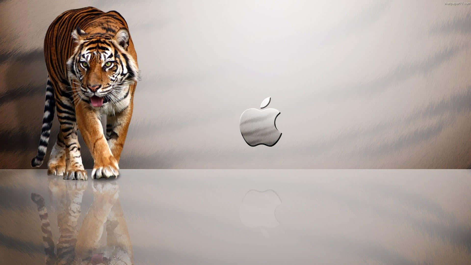 1920x1080 Φόντο Apple με Ρίγες Τίγρης Ταπετσαρία