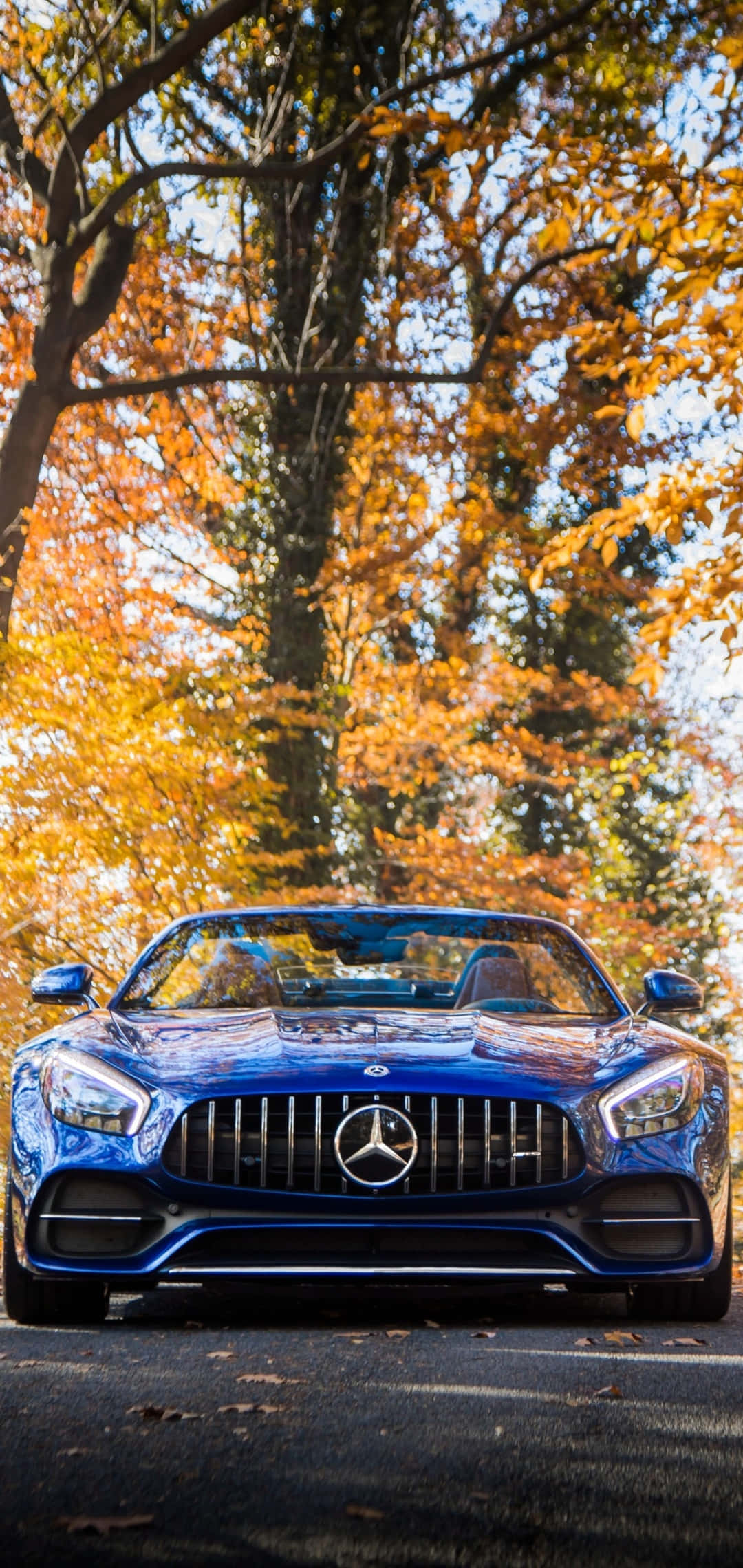 Android Amg Gt-r Κίτρινα Φύλλα Δέντρων Φόντο Ταπετσαρία