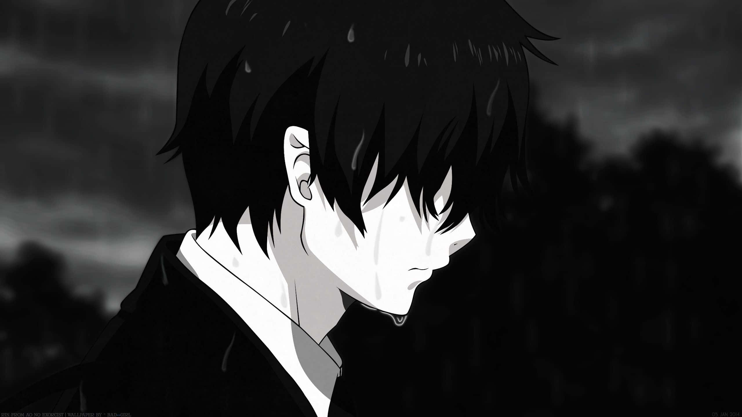 Είσοδος στο Σκοτεινό Βασίλειο των Anime Ταπετσαρία