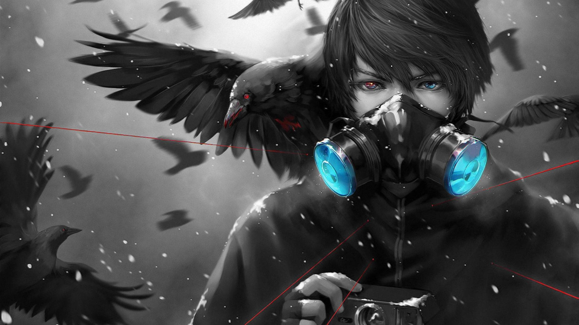 Εντυπωσιακό Anime Pfp με Κοράκι και Αγόρι Ταπετσαρία