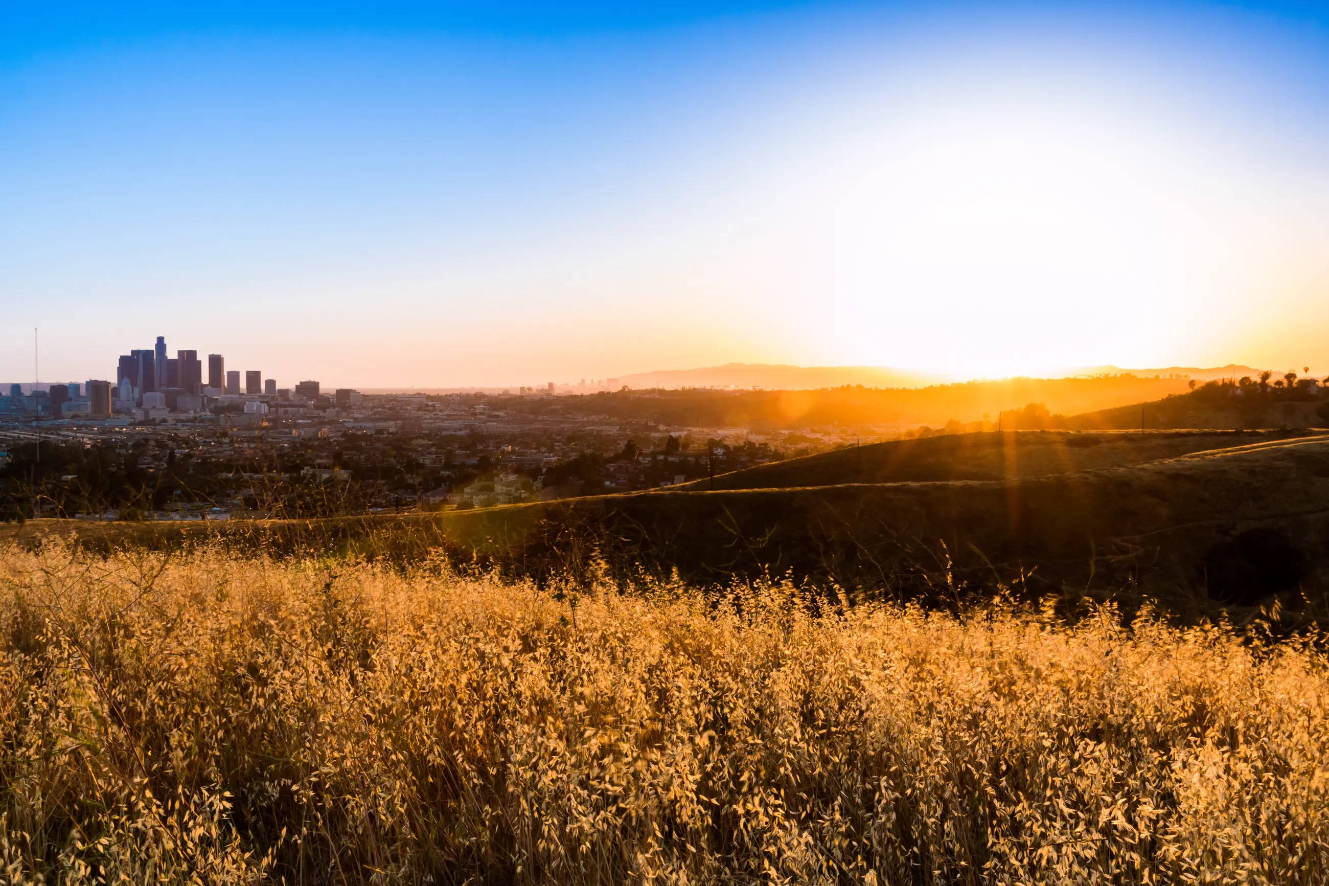Ηλιοβασίλεμα στο Ascot Hills του Λος Άντζελες Ταπετσαρία