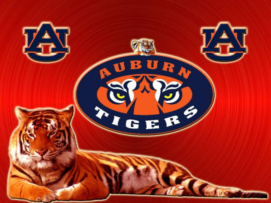 Βρυχώμενη Τίγρη σε Ημέρα Αγώνα του Auburn Football Ταπετσαρία