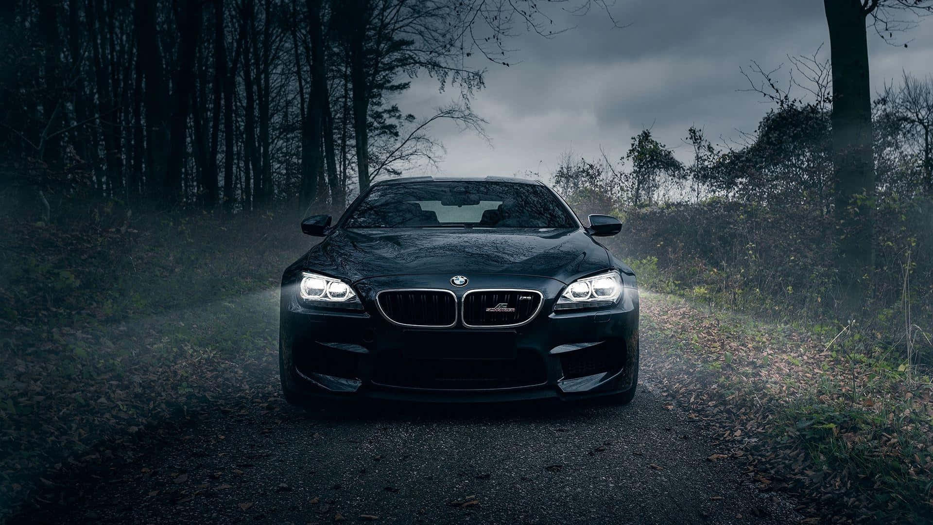 BMW 1920x1080 Οδήγηση Νύχτα Δάσος Ταπετσαρία
