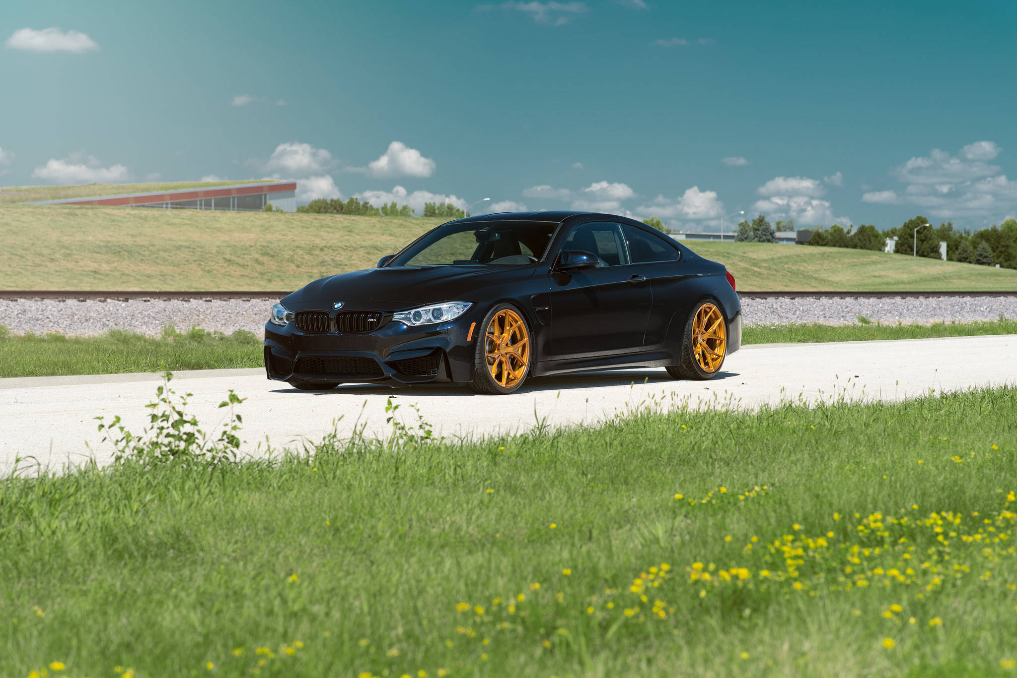 Η κομψή BMW M4 F82 Ταπετσαρία