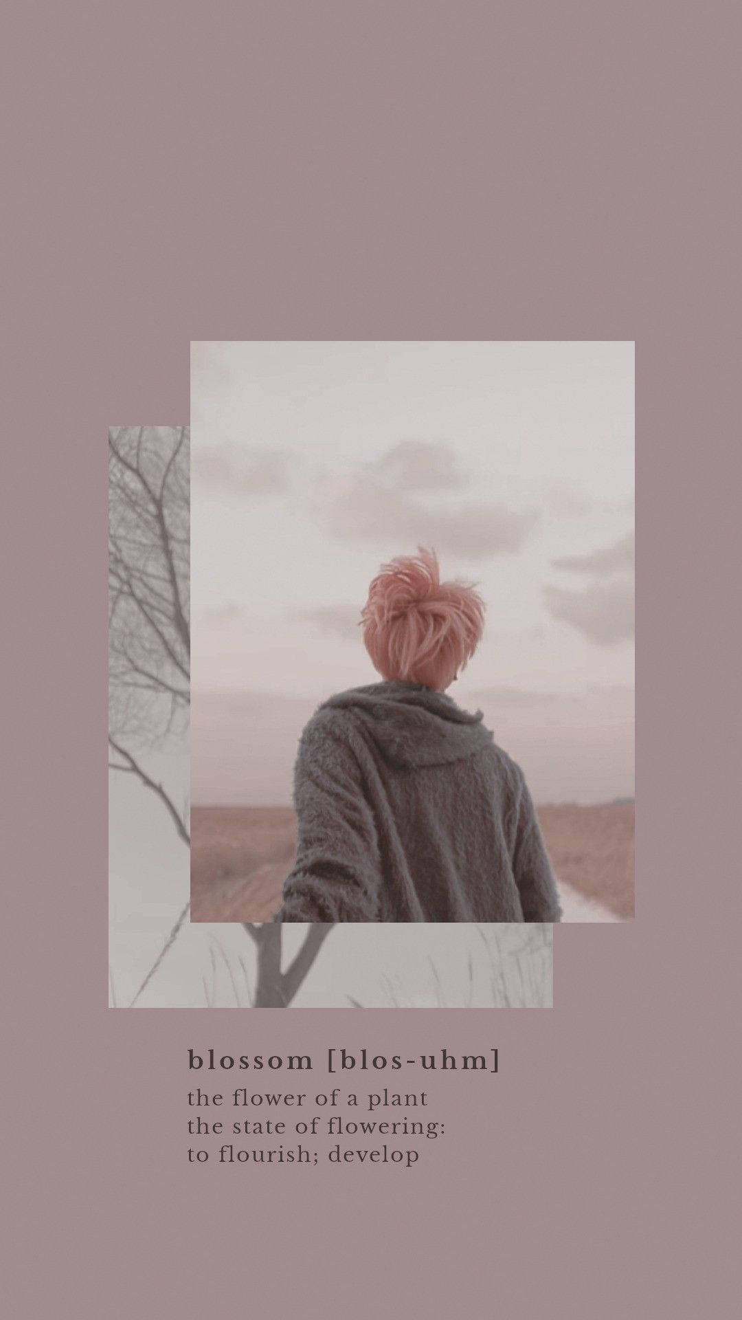 Αισθητική Bts Jimin Blossom Ταπετσαρία