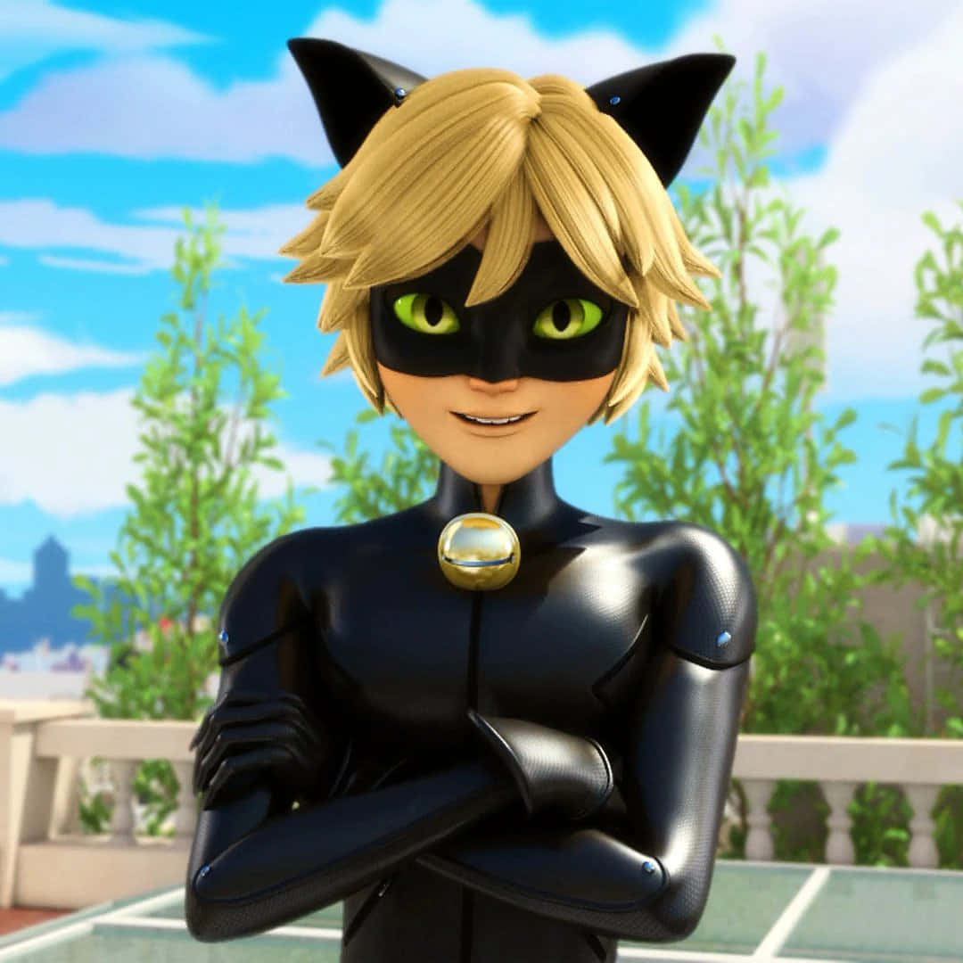 Cat Noir - Ο Επαγρυπνών Ταπετσαρία