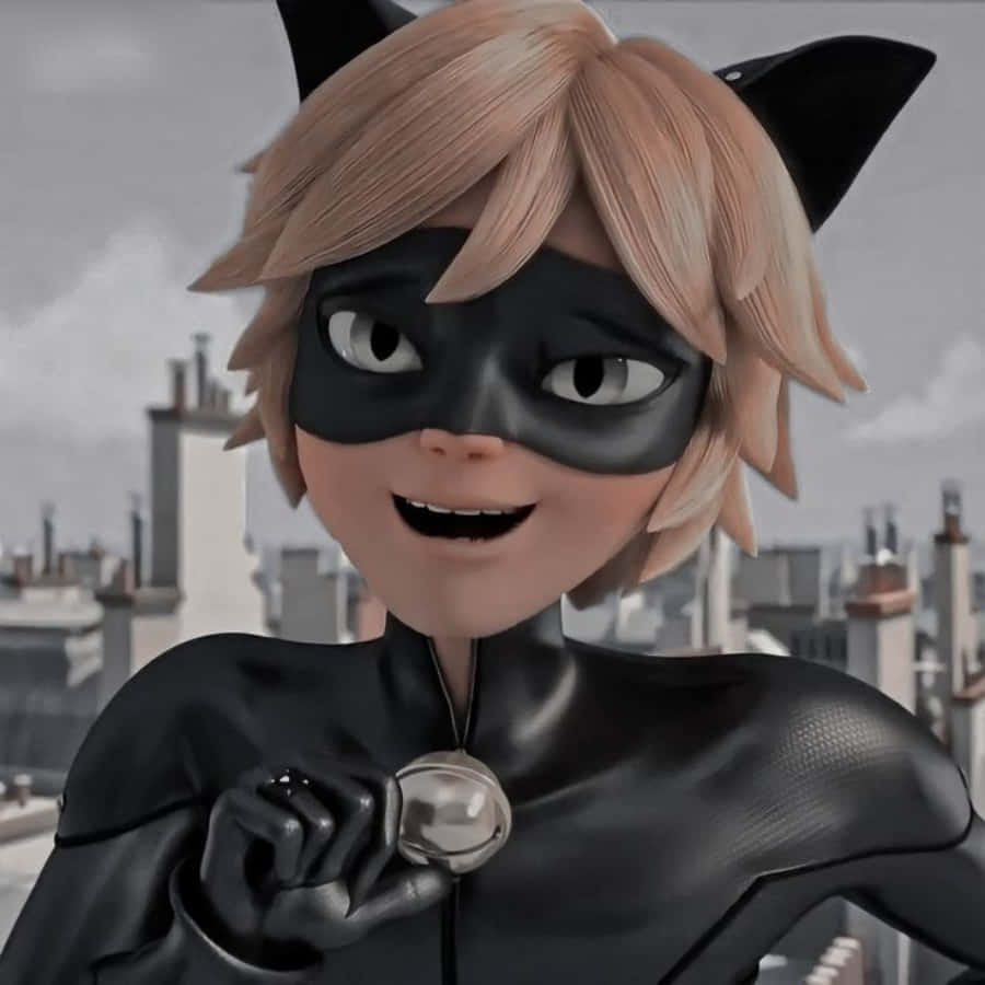 Cat Noir, Προστάτης του Παρισιού Ταπετσαρία