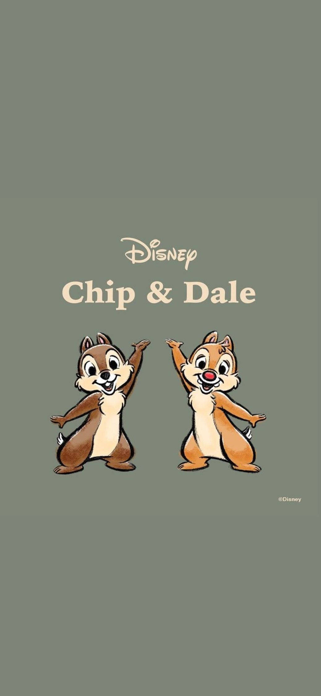 Chip N Dale σε Γκρι Φόντο Ταπετσαρία