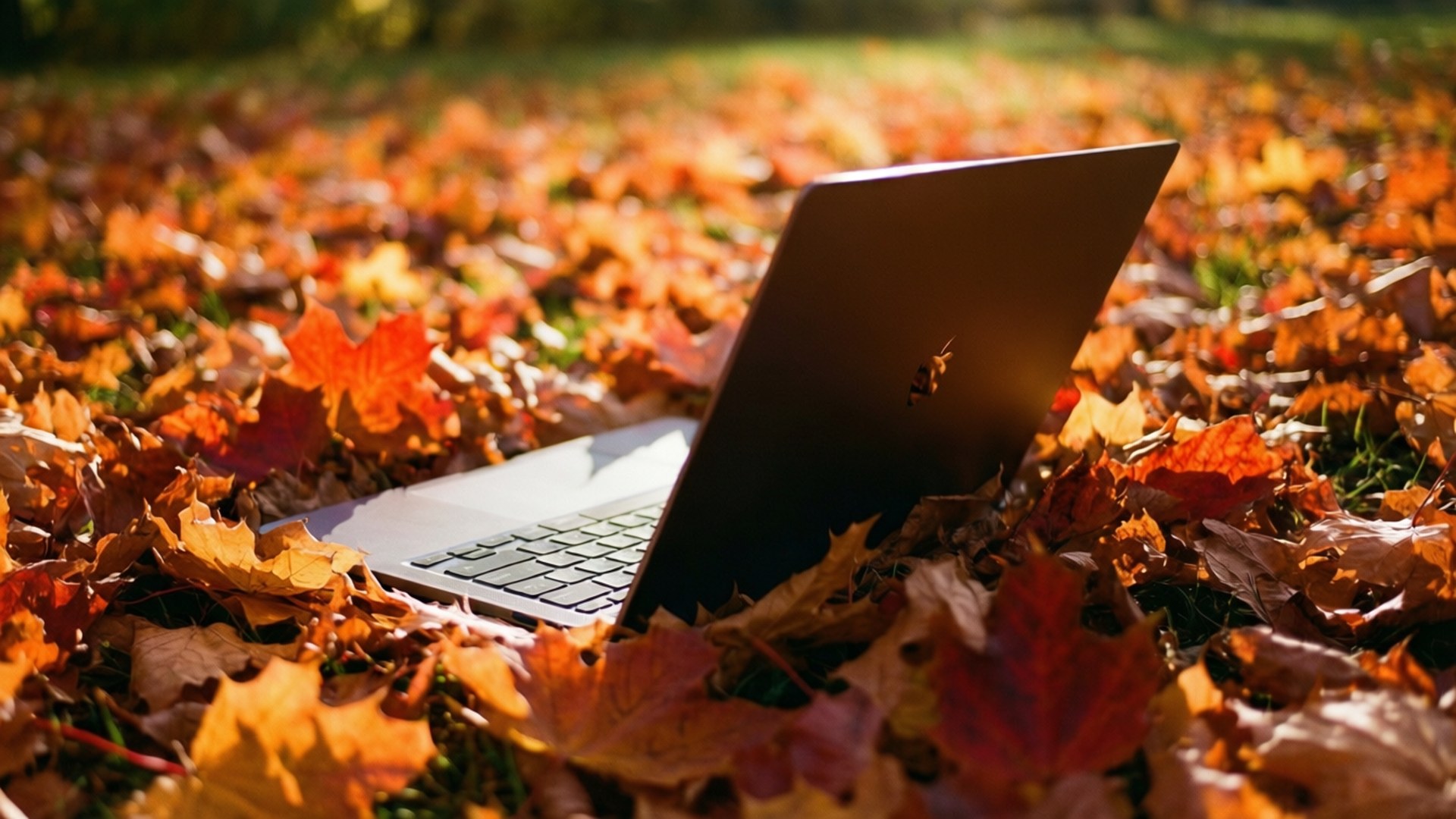 Φθινοπωρινή Άνεση με Chromebook Ταπετσαρία