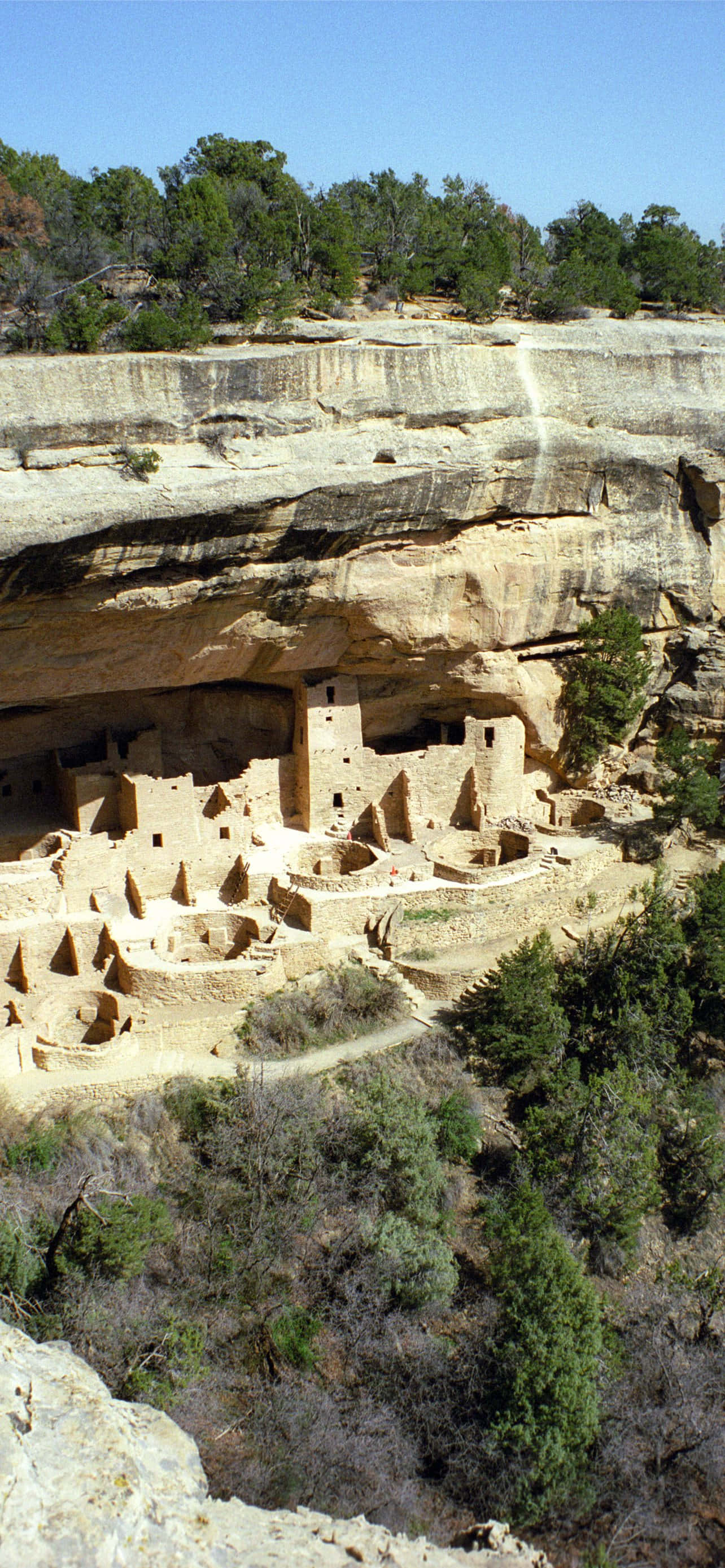 Cliff Palace Tan Color Mesa Verde National Park Ταπετσαρία