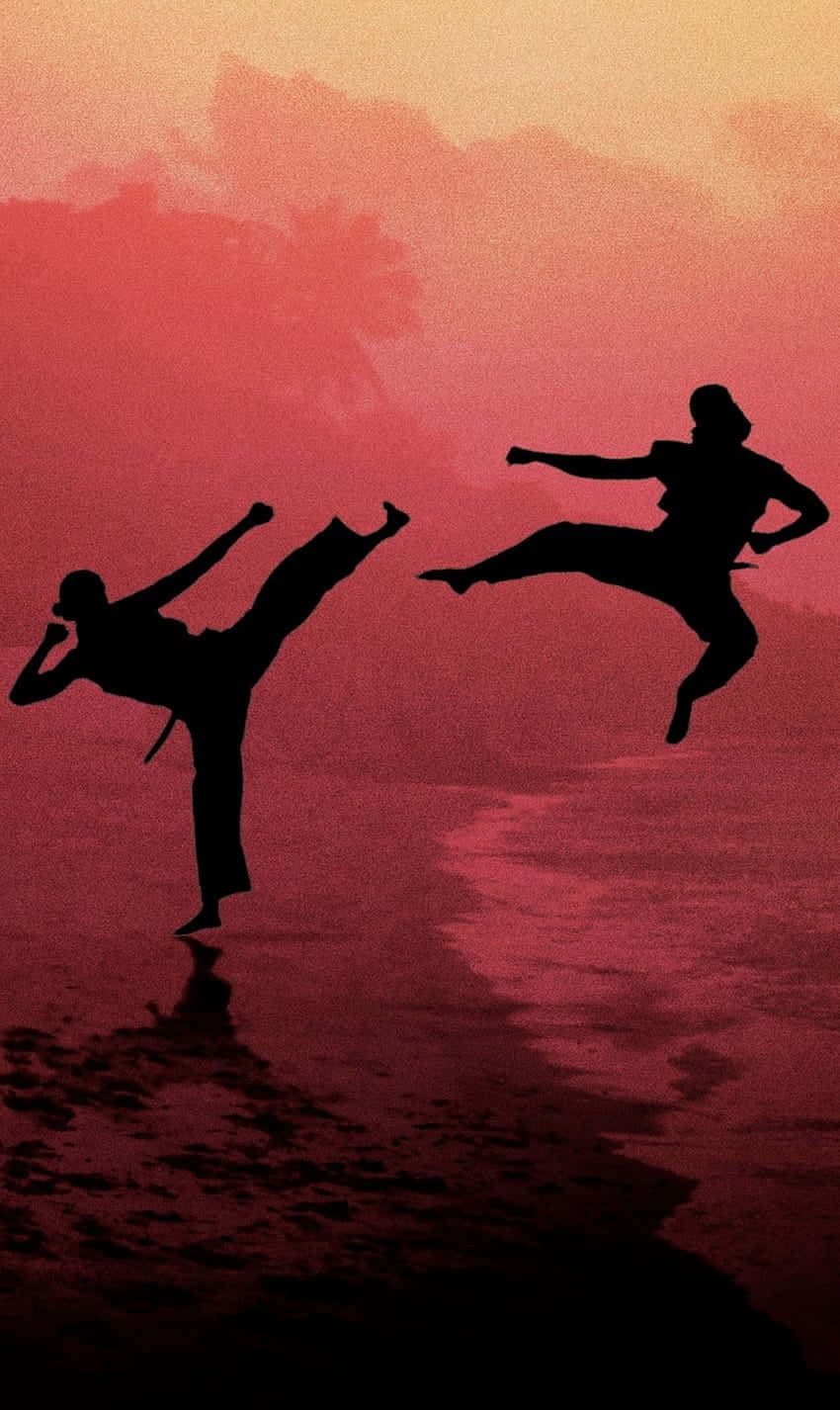 Φόντο Σιλουέτας Μάχης Cobra Kai για iPhone Xr Ταπετσαρία