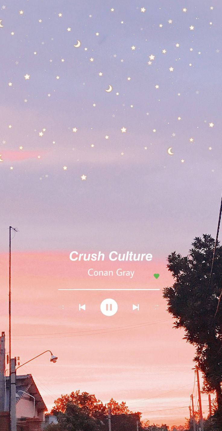 Αισθητική Μουσικής Conan Gray Ταπετσαρία