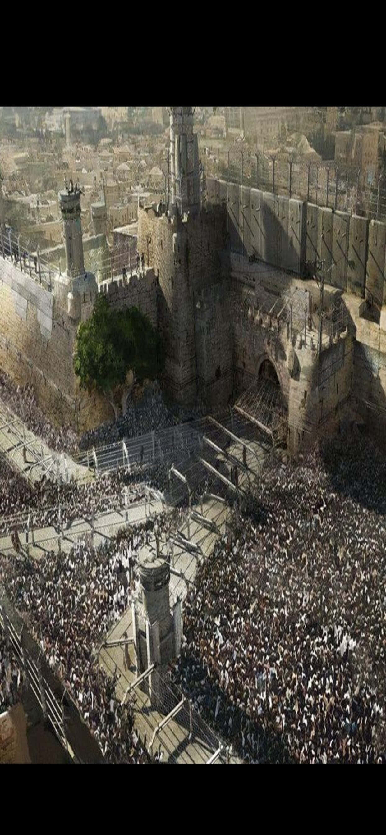 Εννοιολογικό σχέδιο φόντο iPhone XS Max World War Z Ταπετσαρία