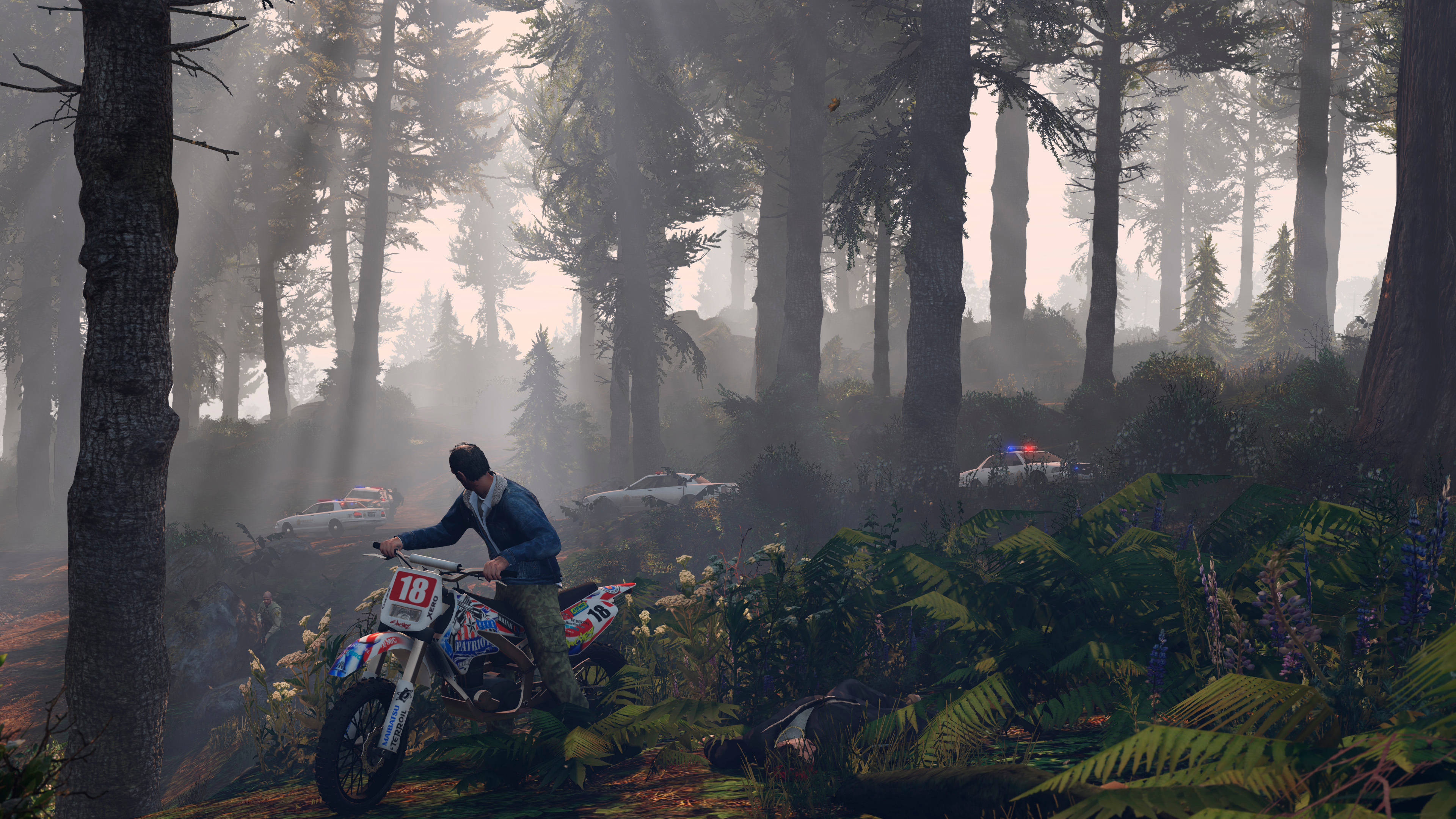 Cool GTA: Αποτινάσσοντας την Αστυνομία Ταπετσαρία