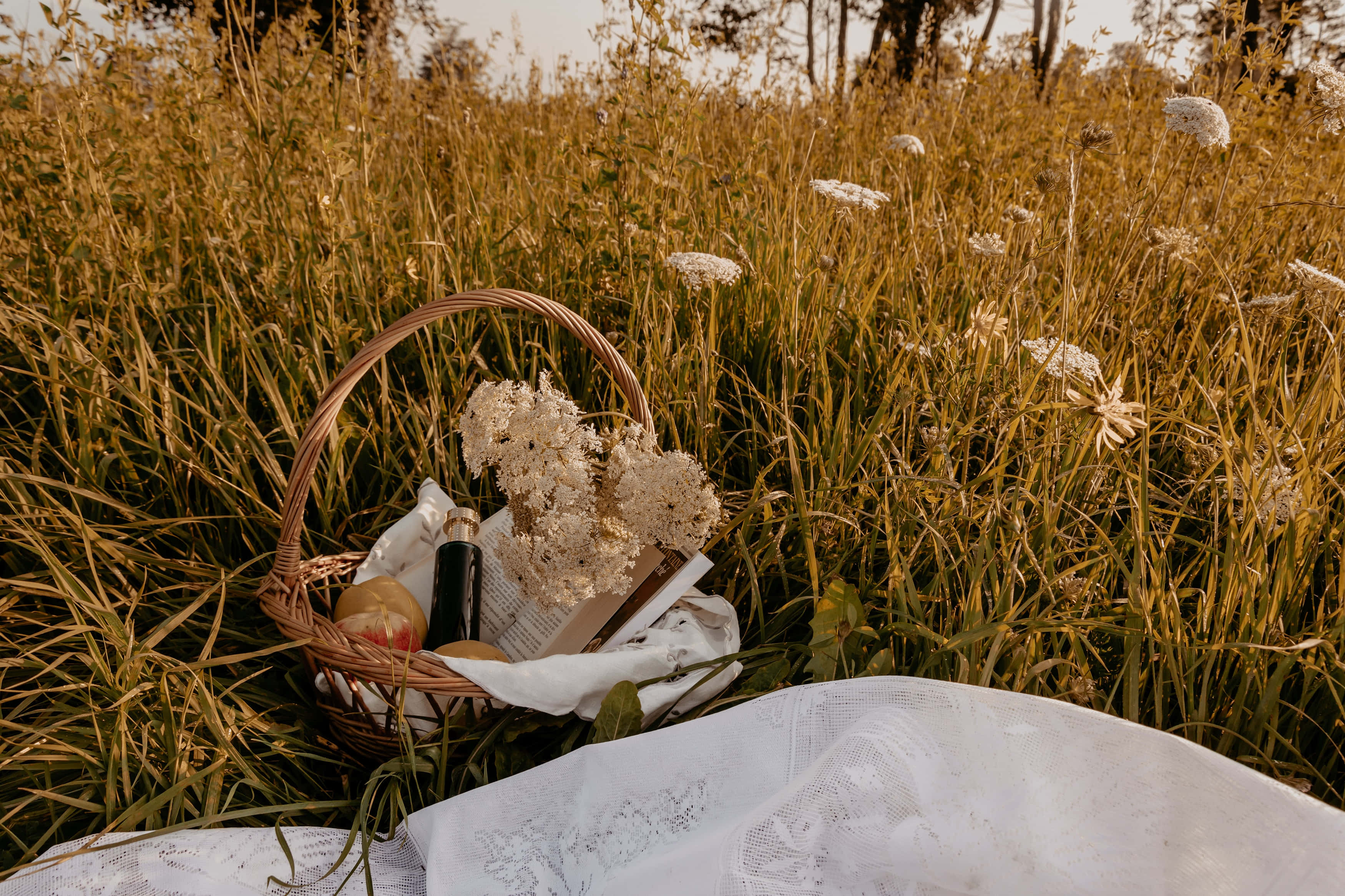 Γοητευτικό Φόντο Cottagecore Αισθητικής Ταπετσαρία