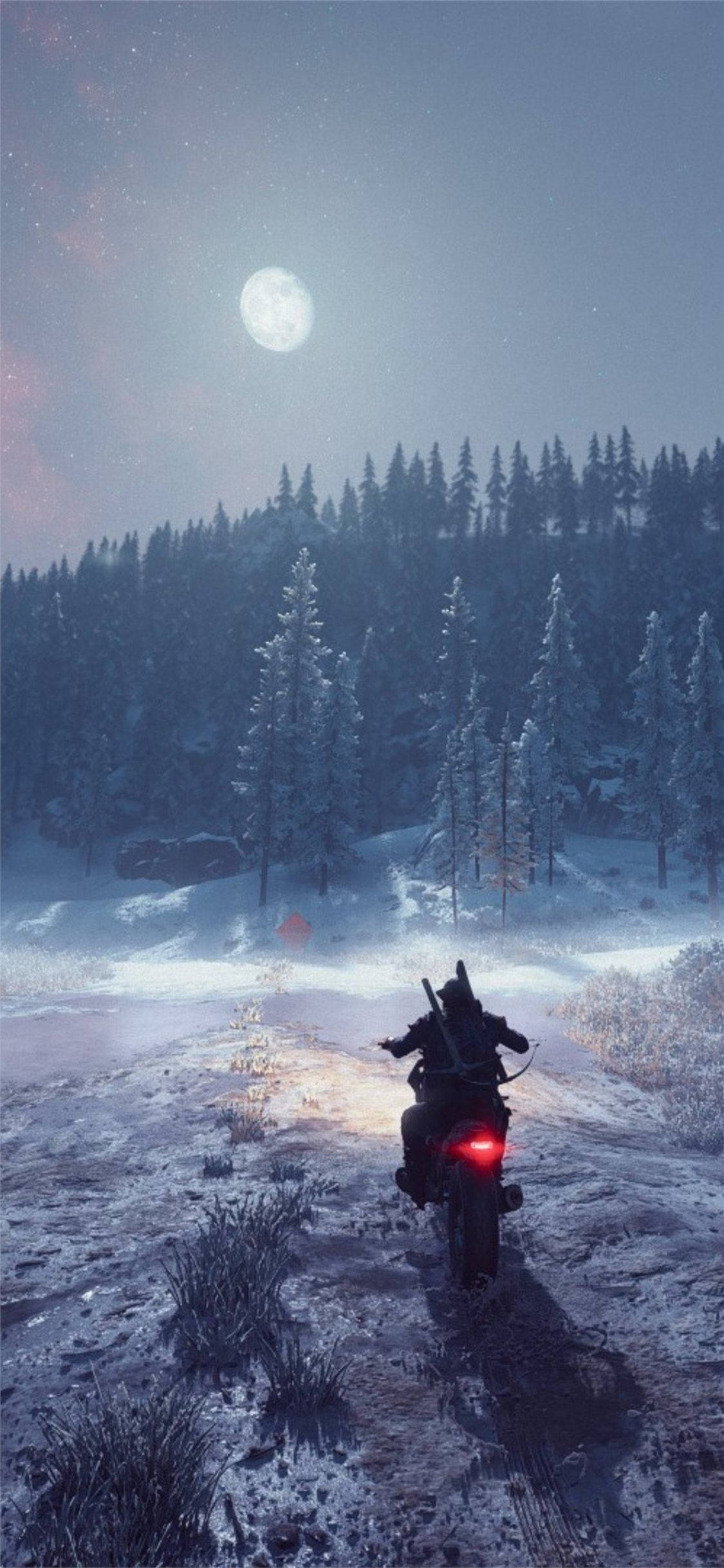 Days Gone Ride In Winter Ταπετσαρία