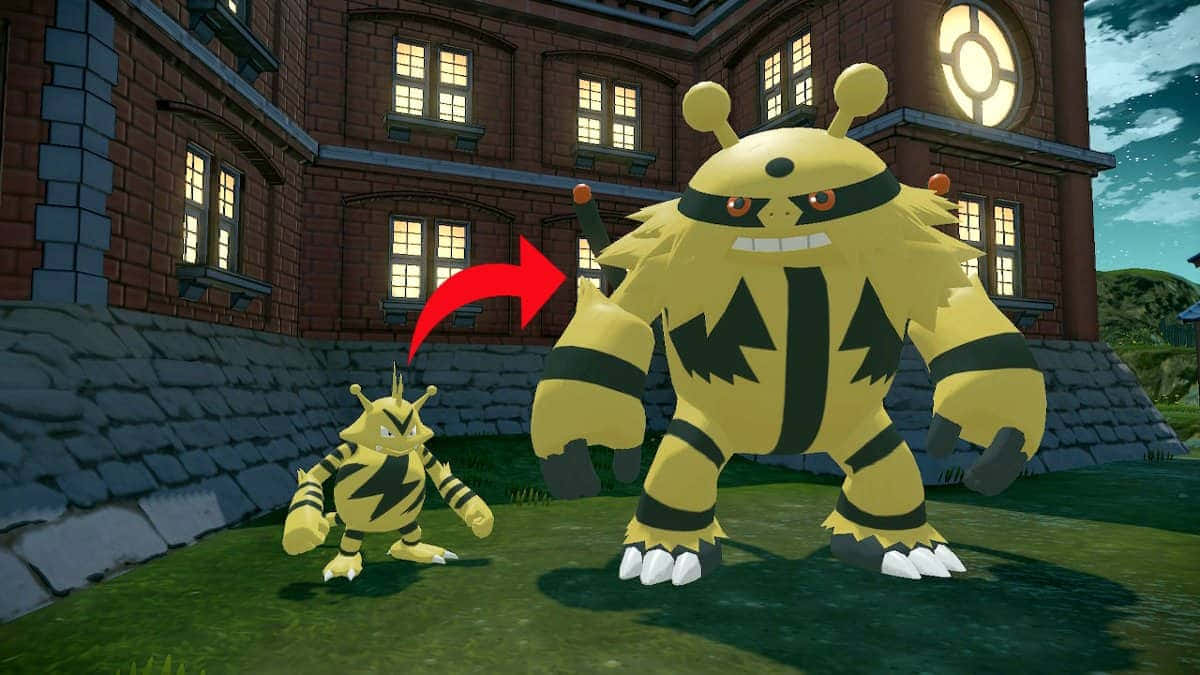 Electabuzz Φορτίζει Ενέργεια σε Μάχη Pokemon Ταπετσαρία