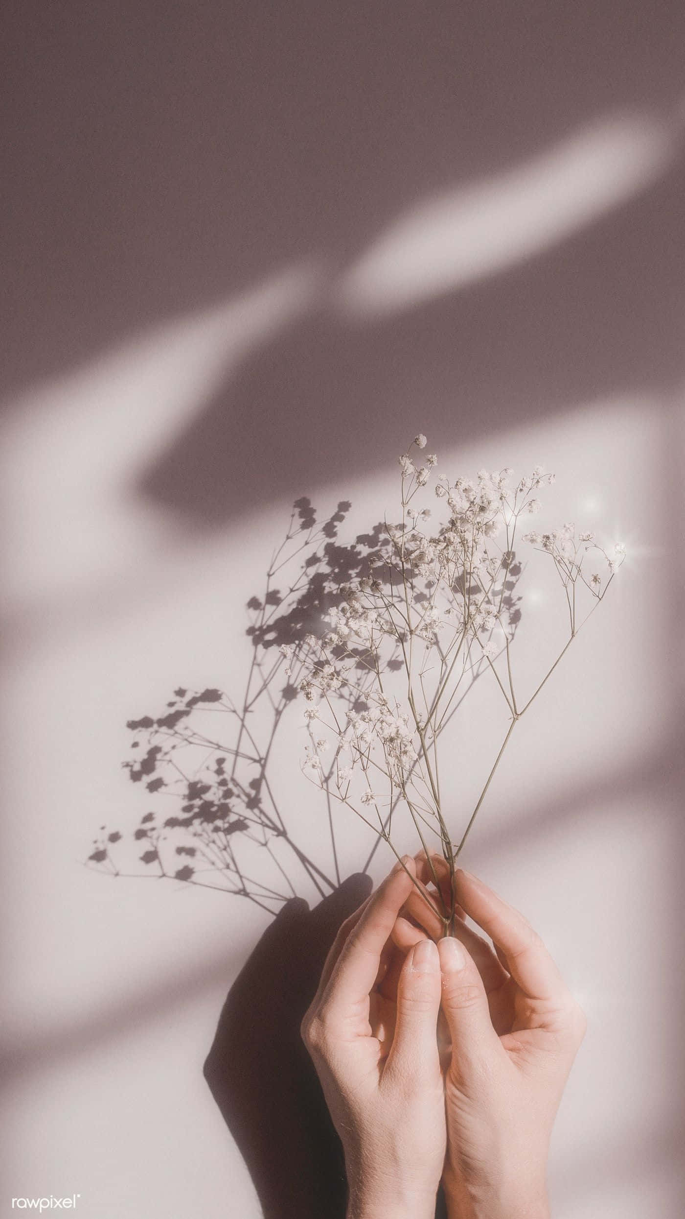 Η τέλεια floral πινελιά για να φωτίσει κάθε μέρα. Ταπετσαρία