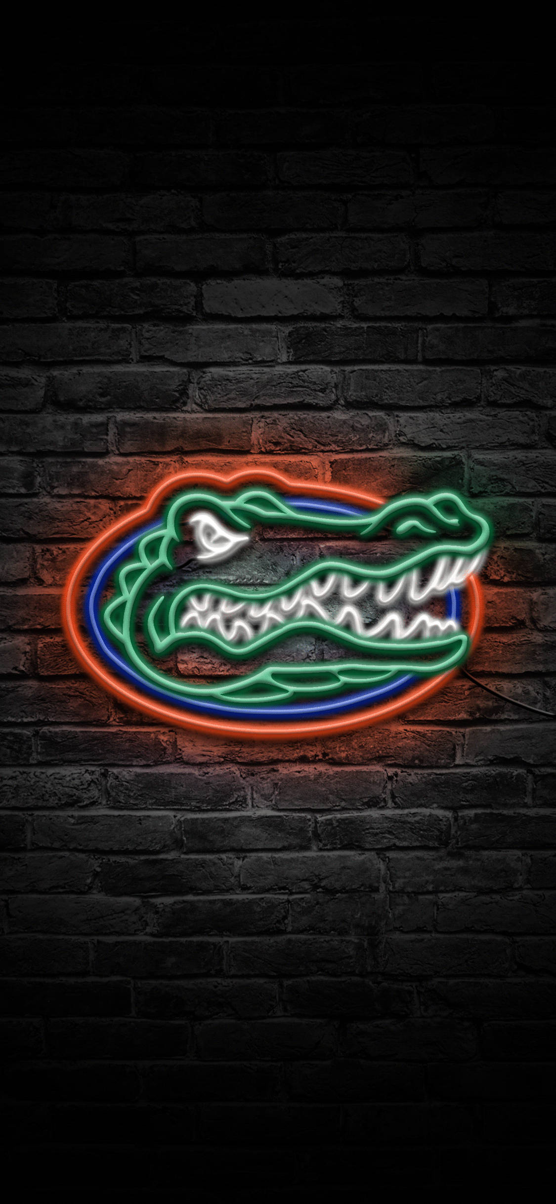 Λογότυπο Florida Gators Σε Νέον Φώτα Ταπετσαρία