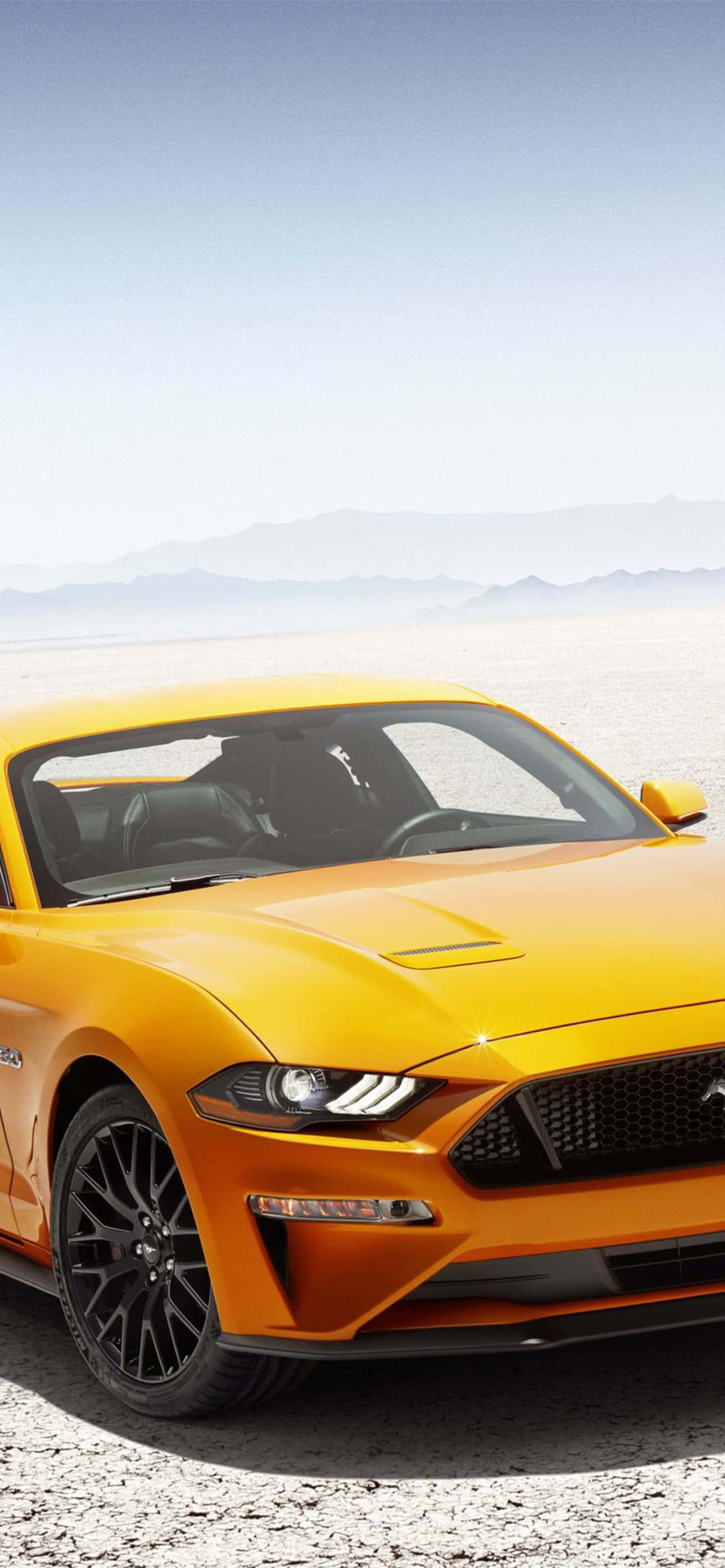 Το Ford Mustang GT του 2019 στην έρημο Ταπετσαρία