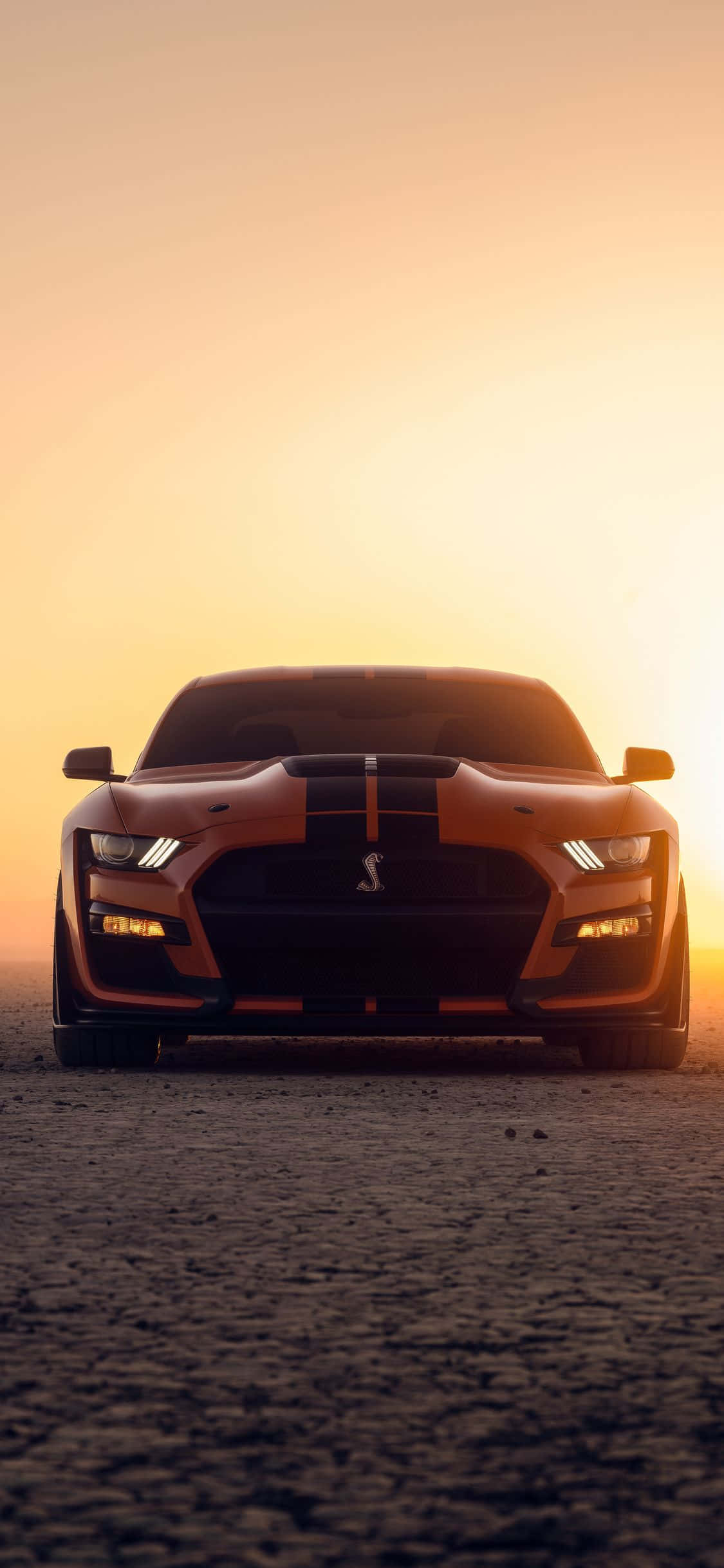 ένα ford mustang gt κάθεται στην έρημο στο ηλιοβασίλεμα Ταπετσαρία