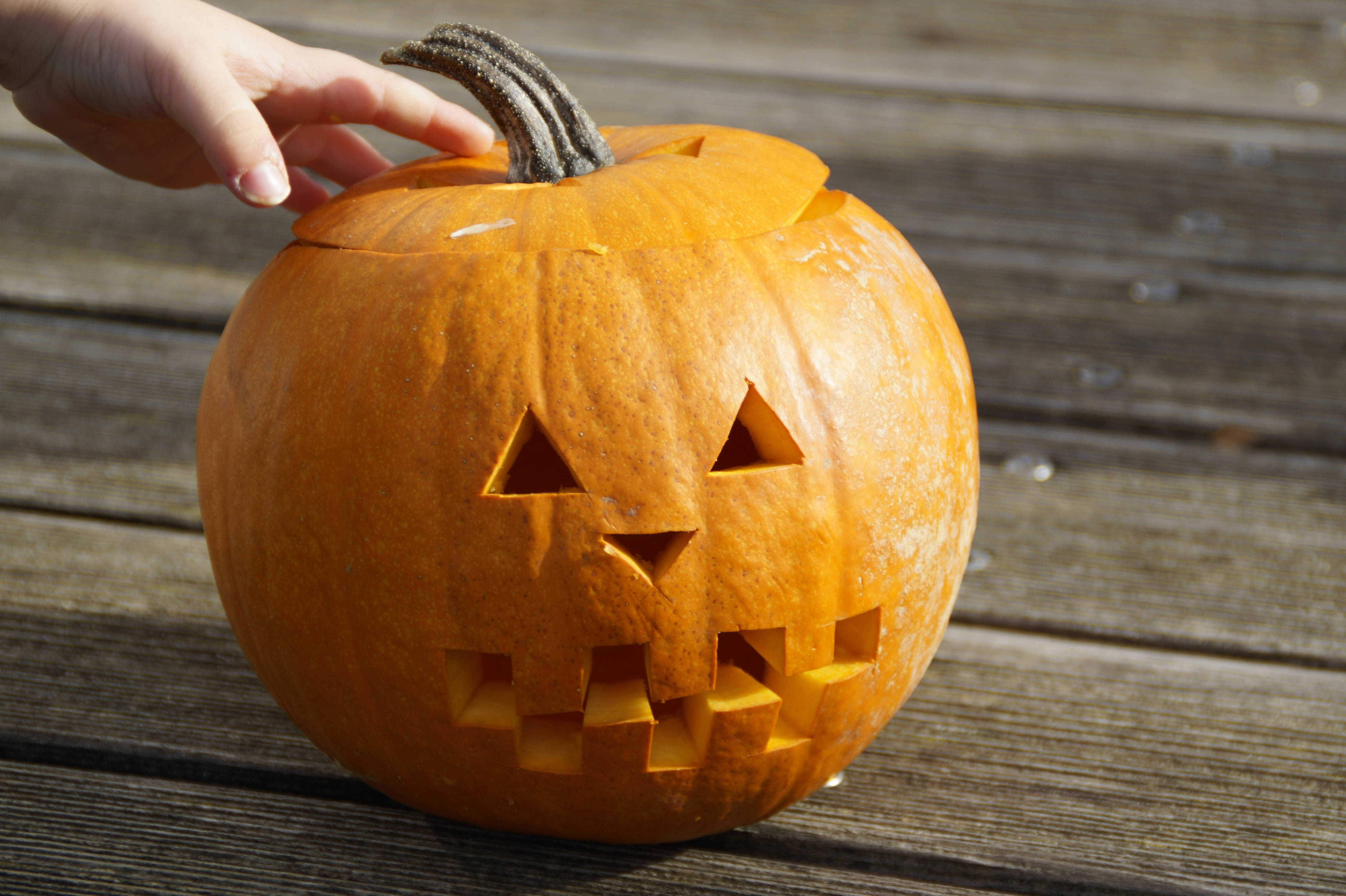 Χαριτωμένο Άγγιγμα Κολοκύθας Halloween Ταπετσαρία