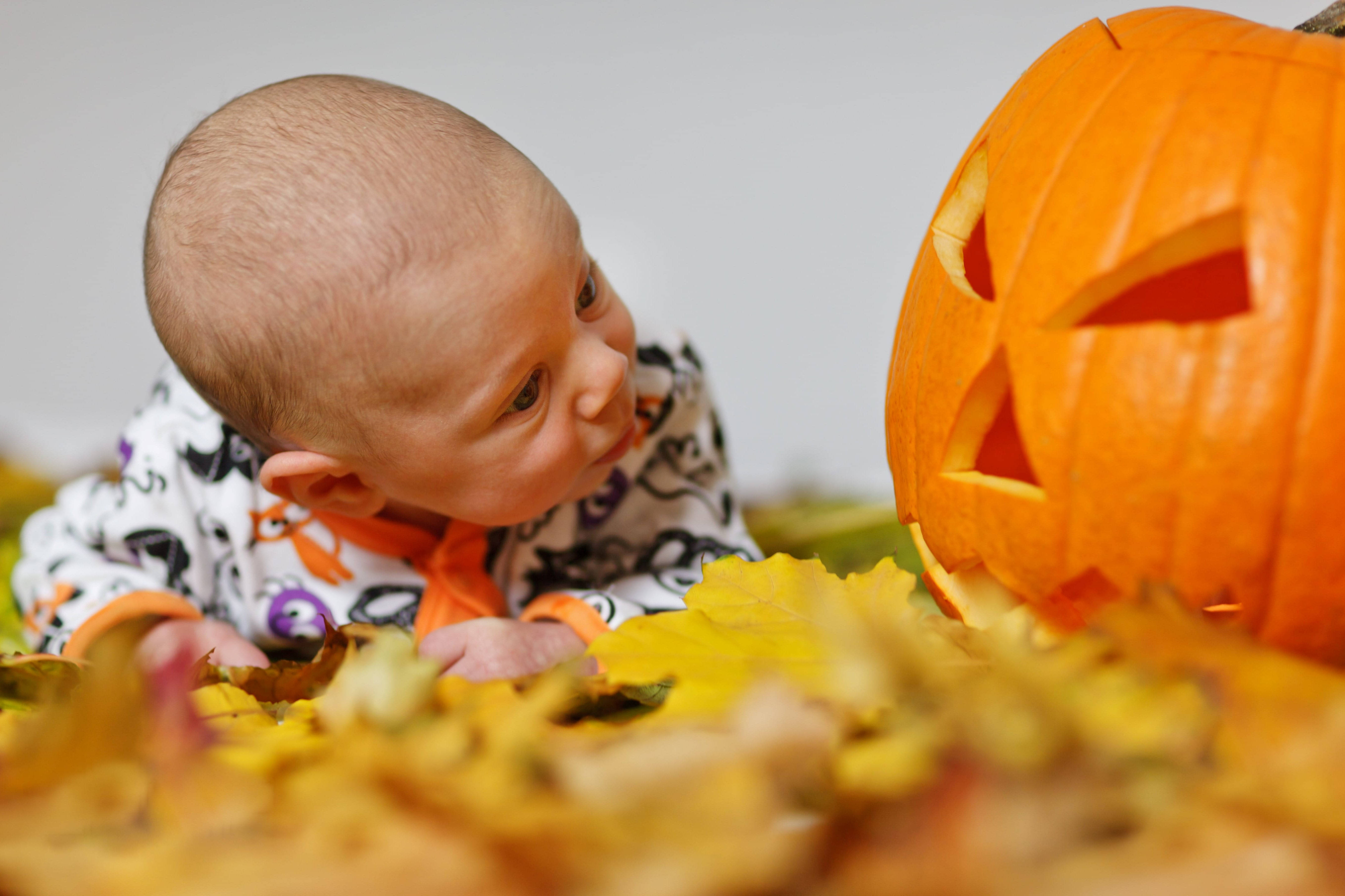 Χαριτωμένο βλέμμα μωρού σε κολοκύθα για το Halloween Ταπετσαρία