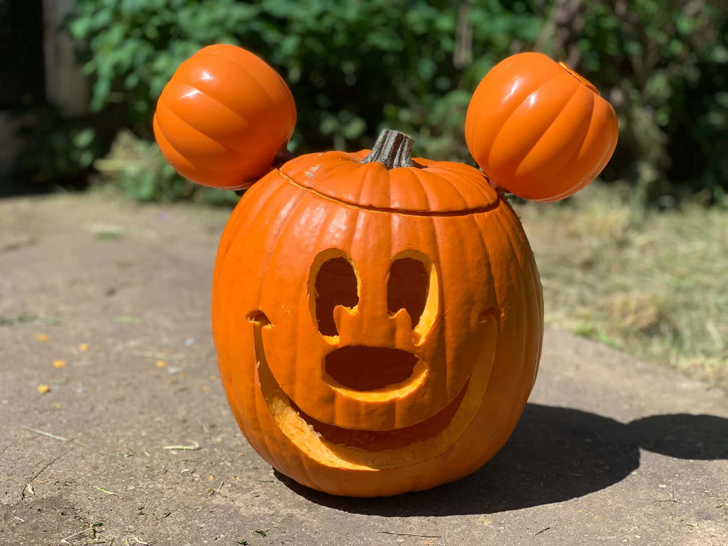 Γοητευτική Λαμπερή Κολοκύθα Halloween Ταπετσαρία