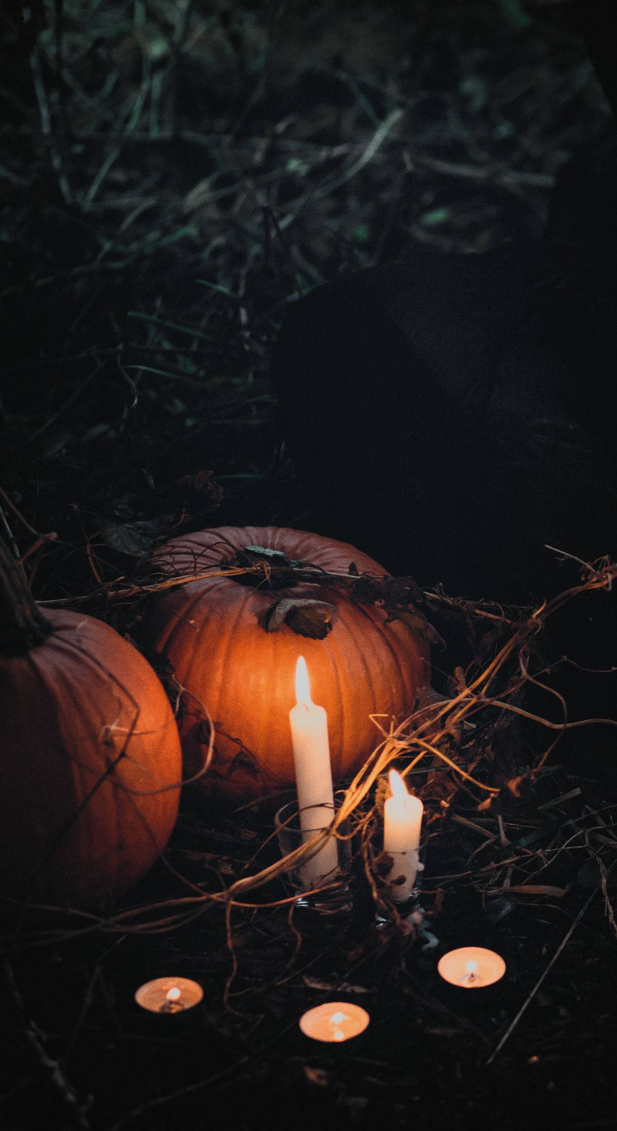 Κολοκύθα και Κερί Halloween iPhone Ταπετσαρία