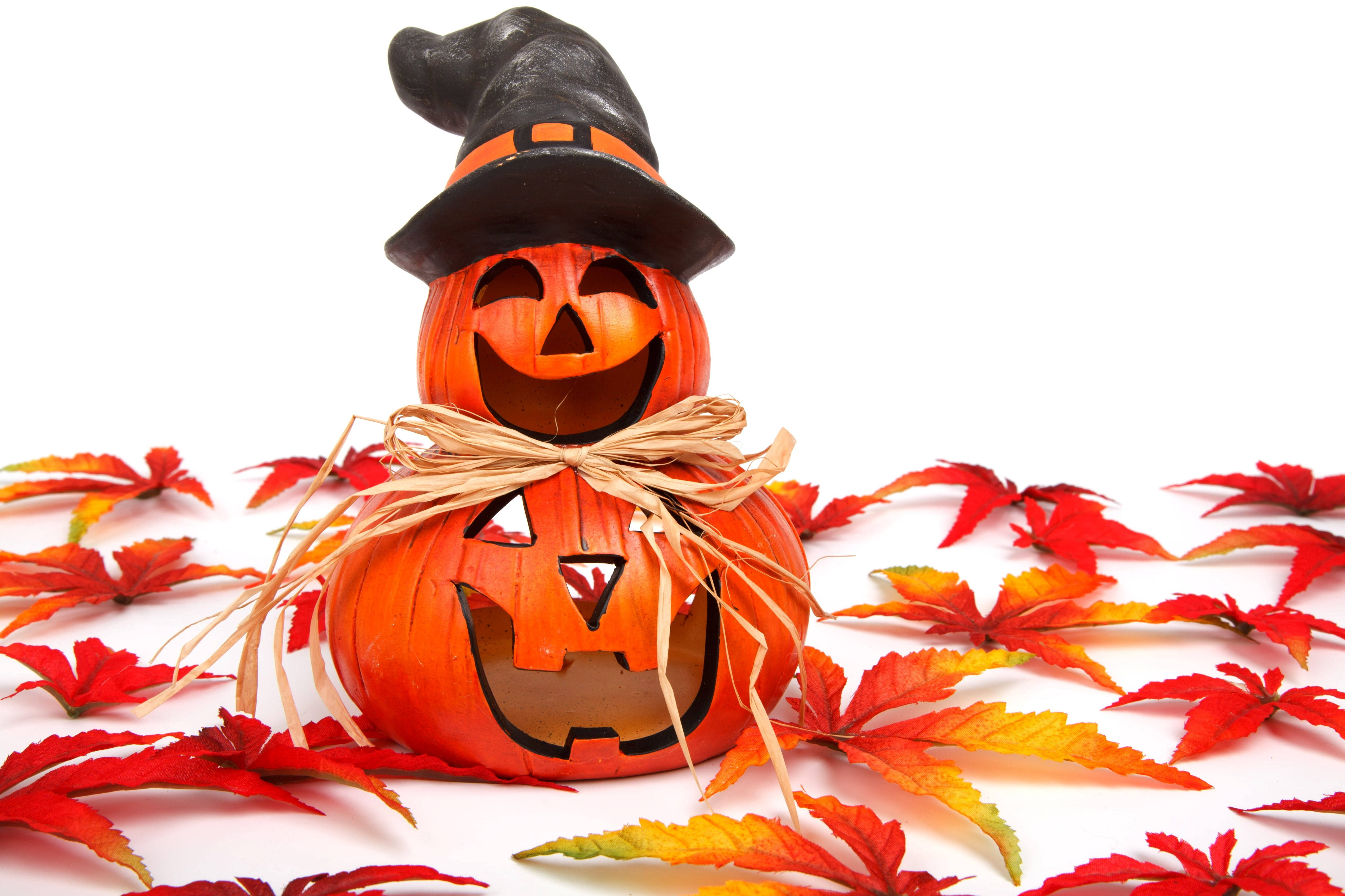 Χαριτωμένο Halloween Φθινοπωρινό Φαναράκι Ταπετσαρία