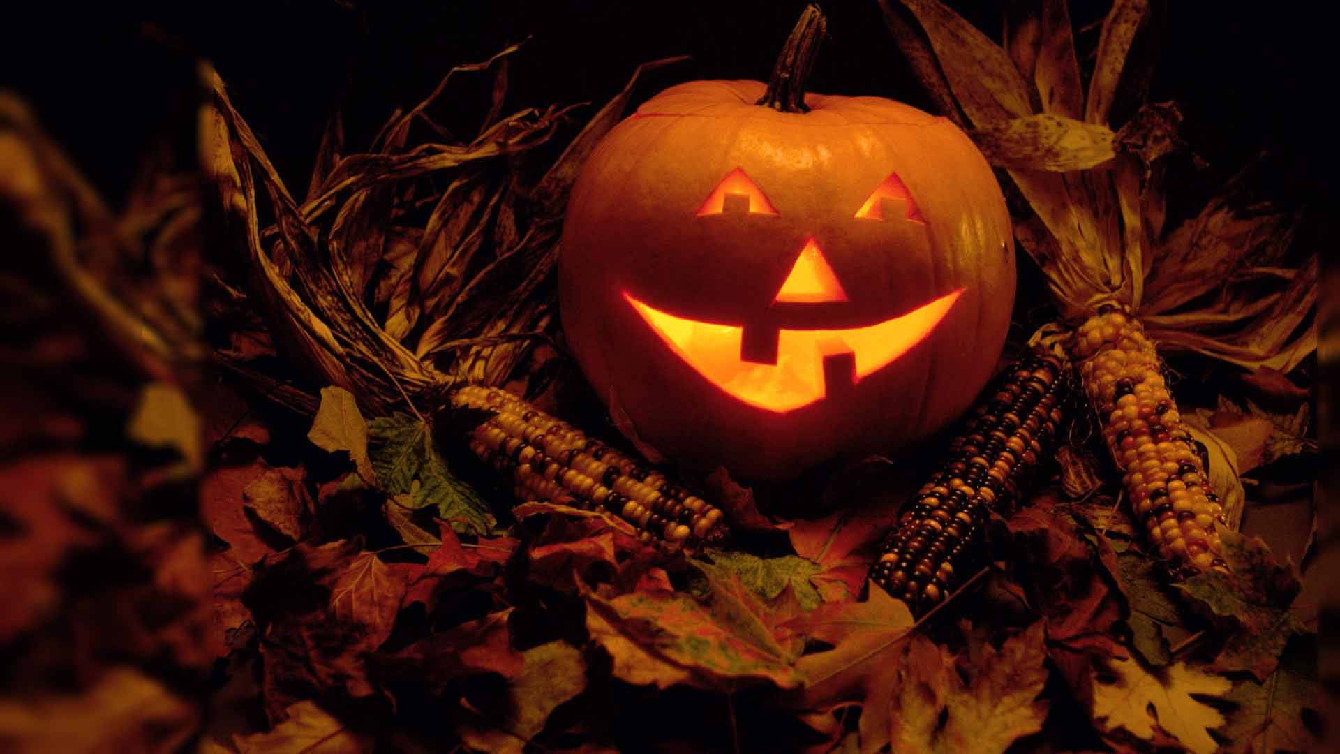 Ρετρό κολοκύθα Halloween σε χωράφι με καλαμπόκι Ταπετσαρία