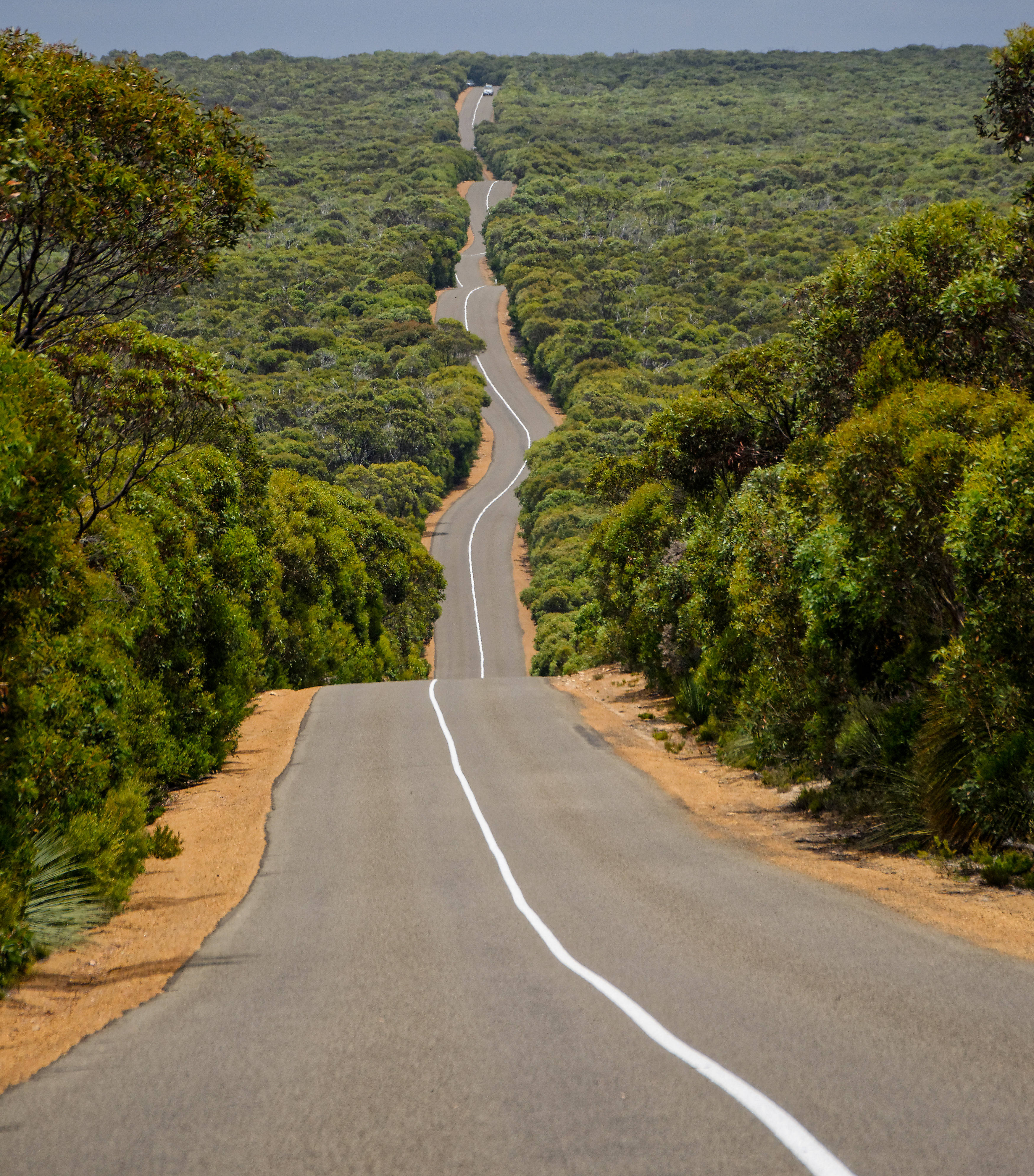 Highway 1 Of Australia Ταπετσαρία