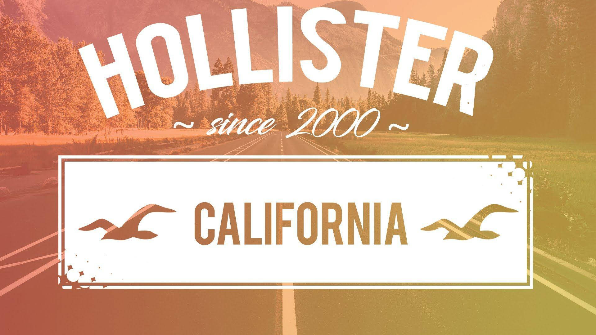 Hollister Since 2000 California Ταπετσαρία