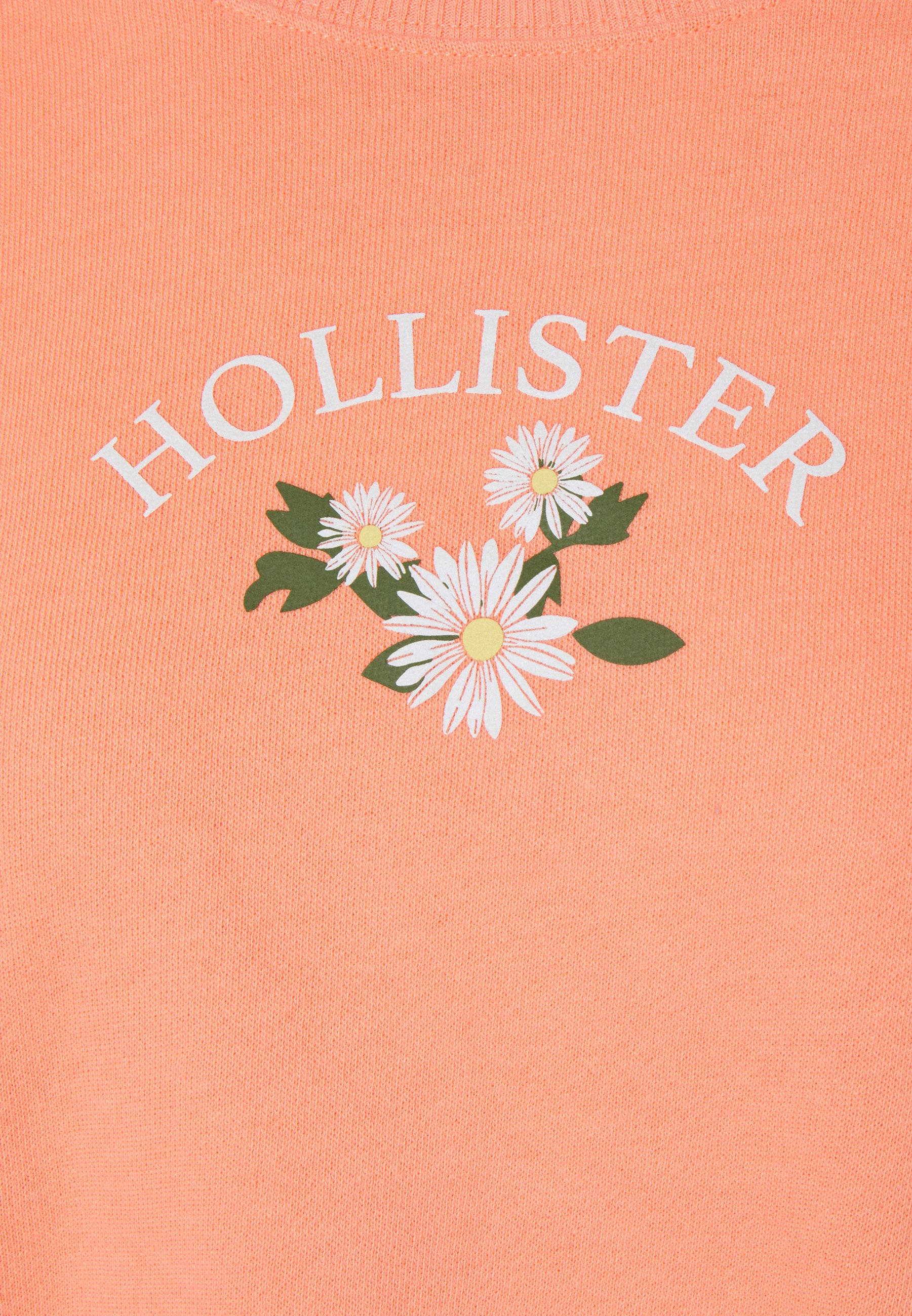 Hollister Τρία Λευκά Λουλούδια Εικονογράφηση Ταπετσαρία