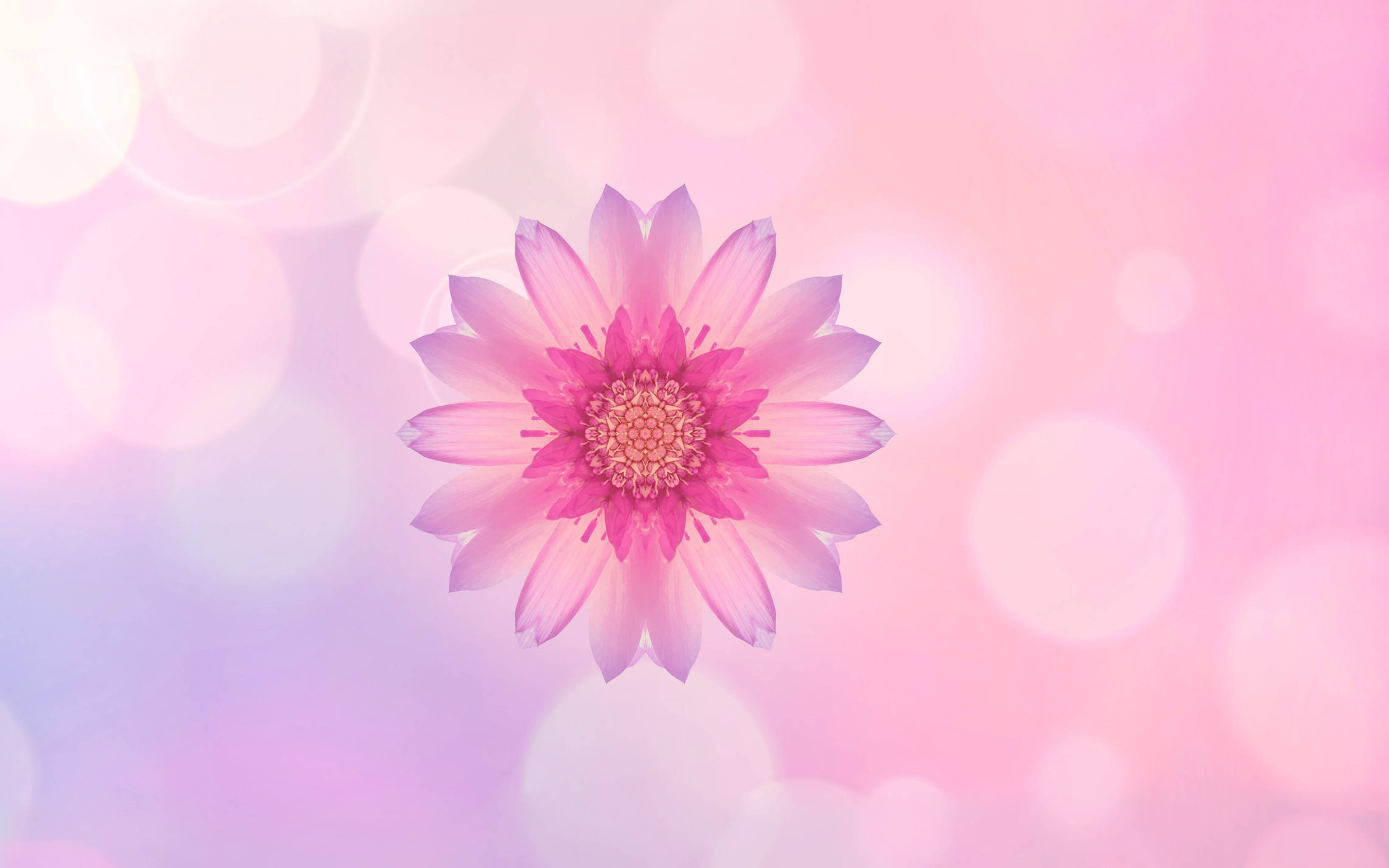 Huawei Pink Flower Ταπετσαρία