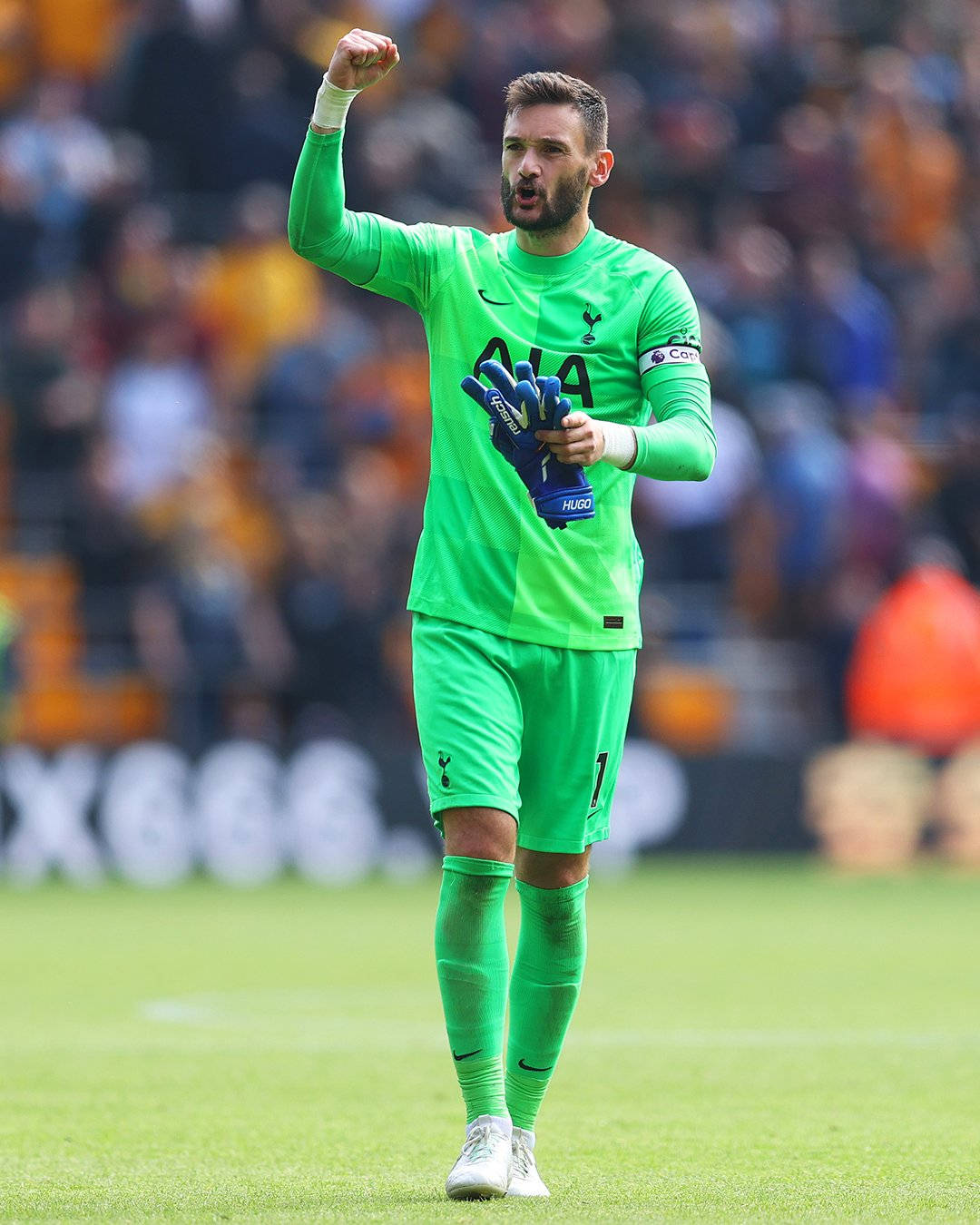Hugo Lloris Μικρή Επευφημία Ταπετσαρία