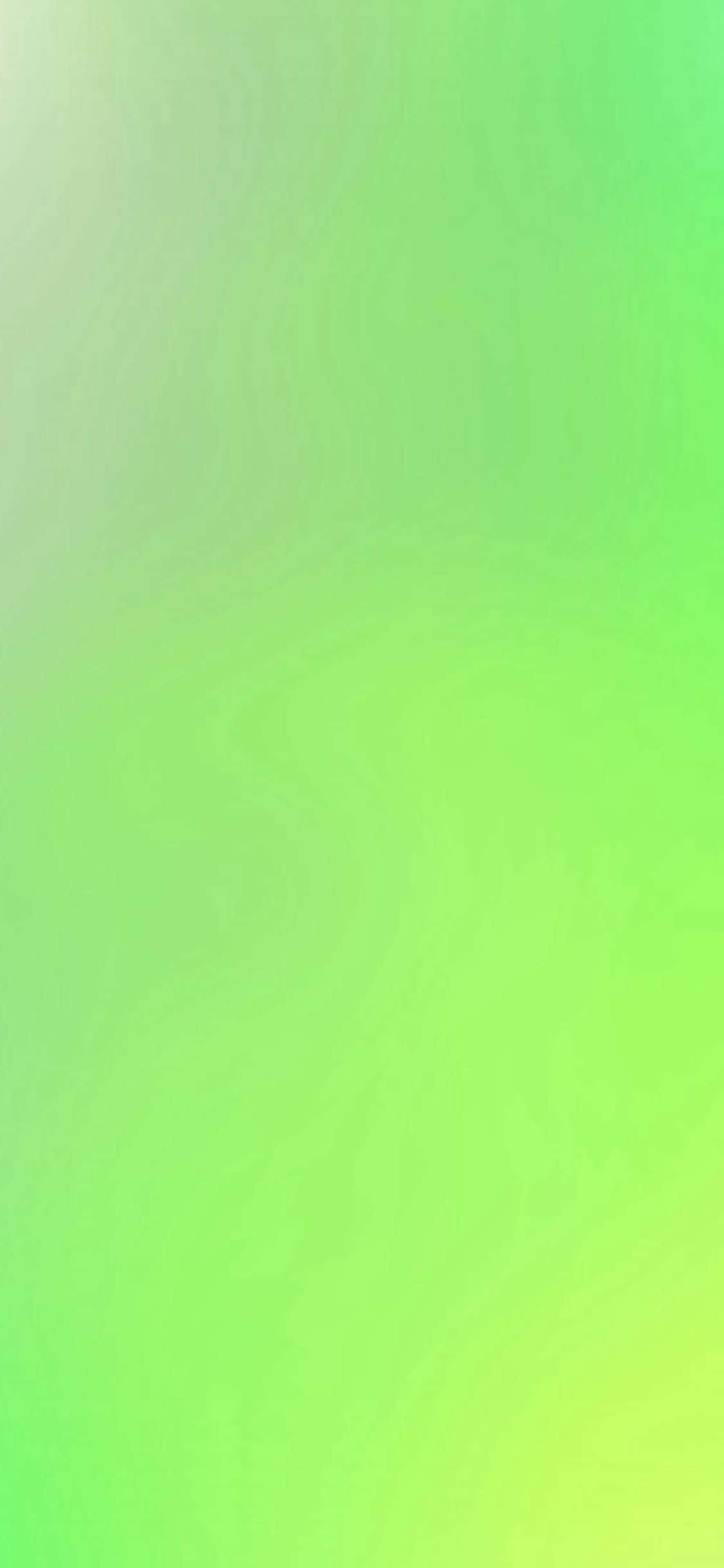 Αναζωογονητικό Πράσινο iPhone 11 Ταπετσαρία