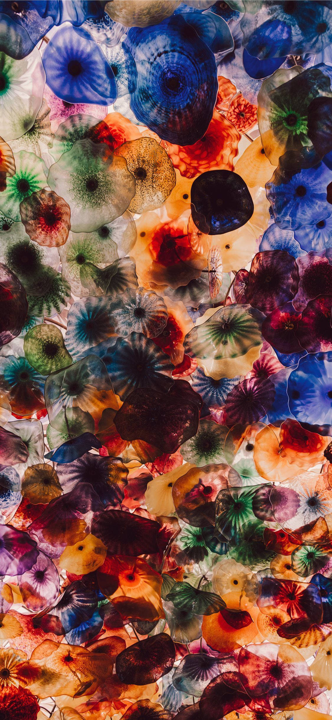 iPhone 11 Pro Max Colorful Jellyfish Ταπετσαρία