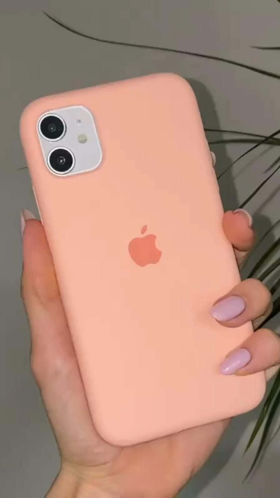 Φωτογραφίες iPhone 12 Ταπετσαρία