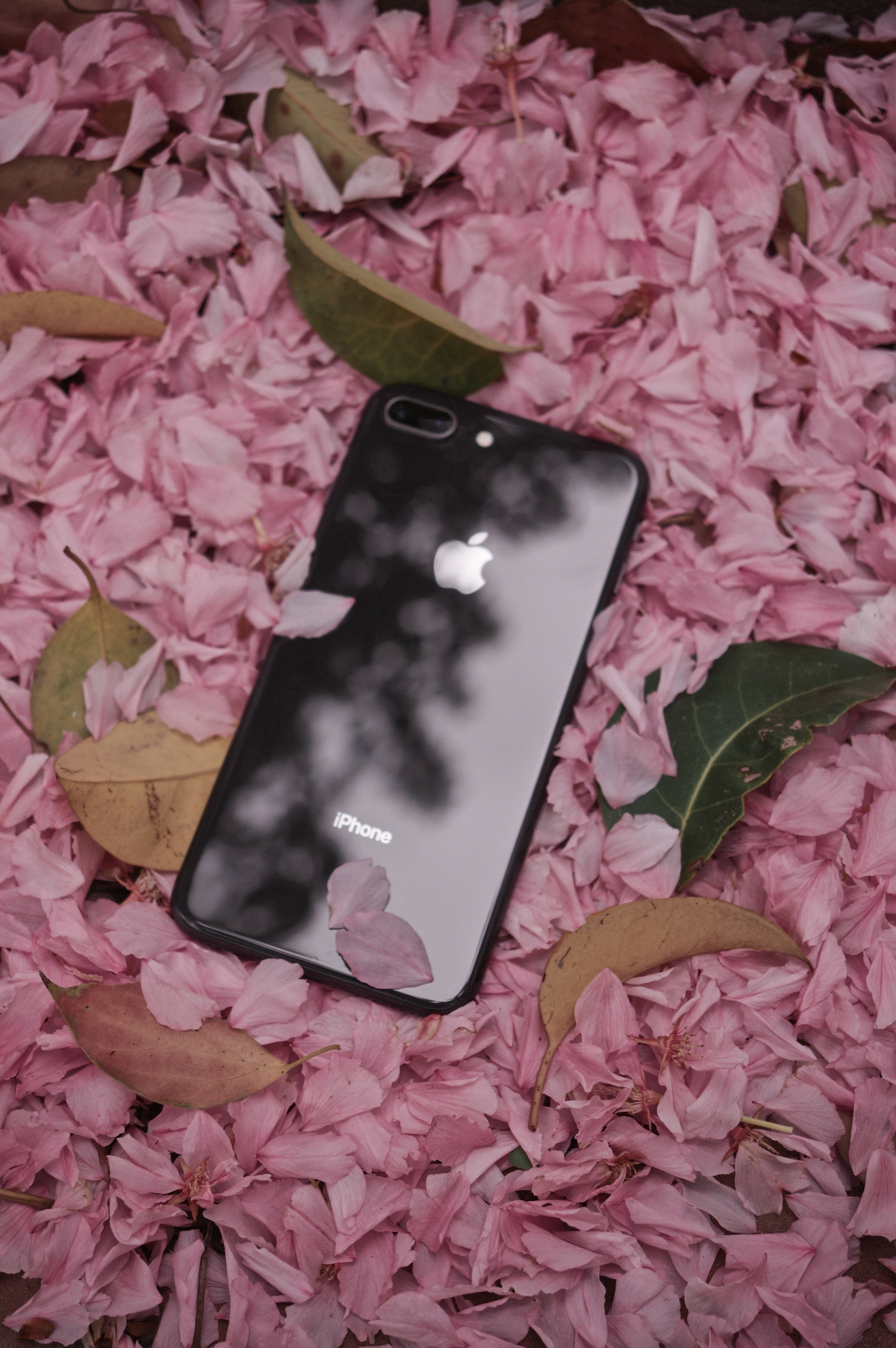 iPhone 8 Λουλούδια Ταπετσαρία