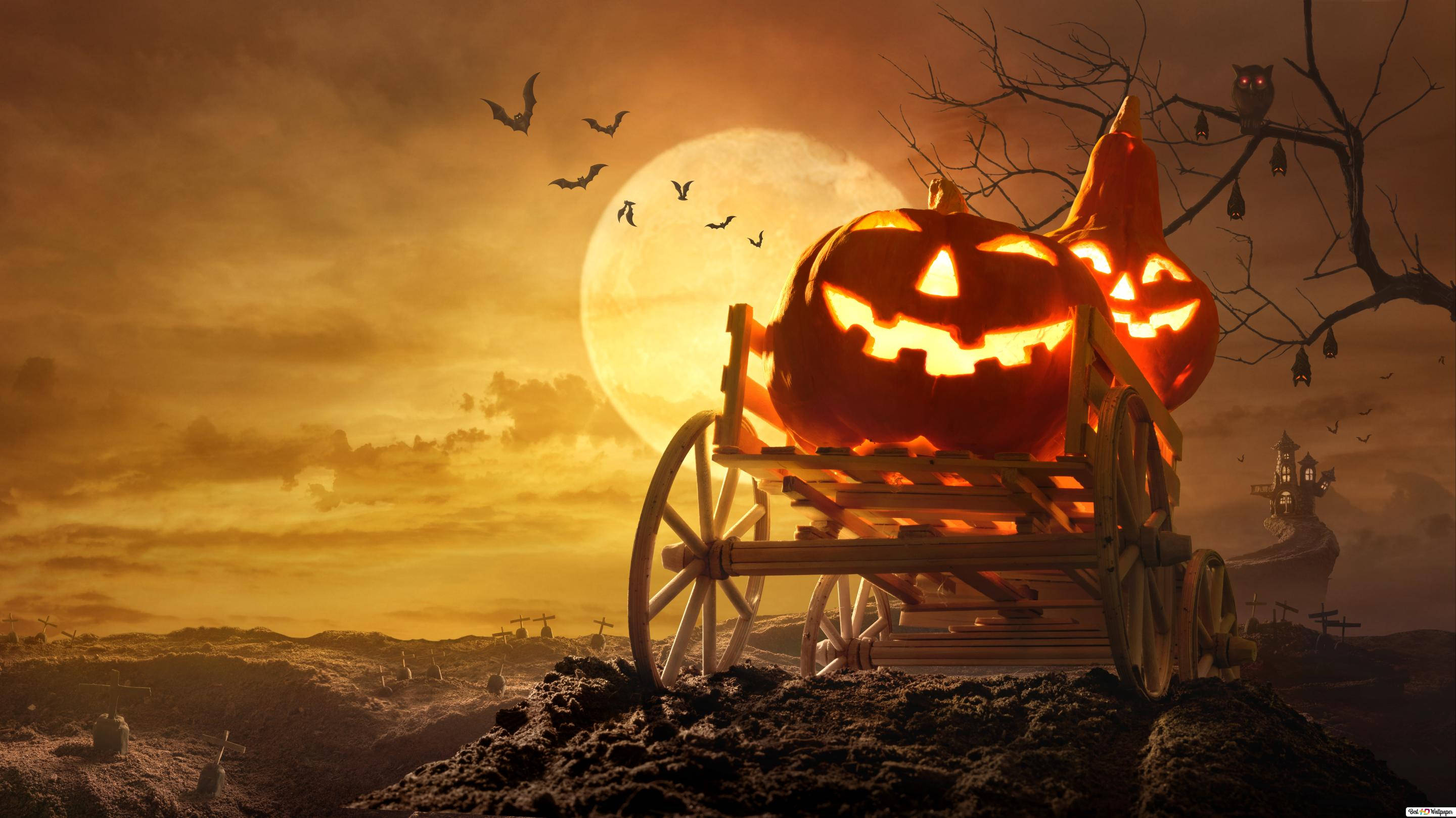 iPhone με Φεγγάρι και Κολοκύθα για Halloween Ταπετσαρία