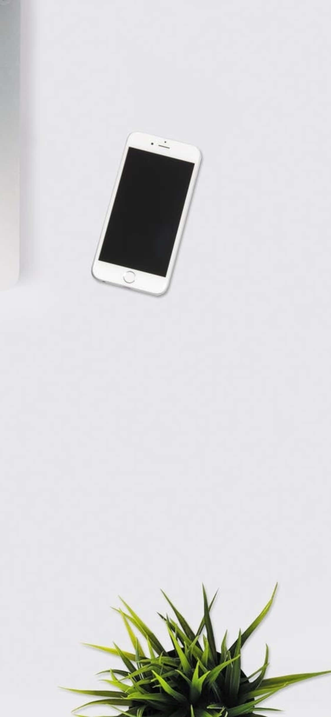 iPhone X Φόντο Γραφείου Λευκό Τηλέφωνο με Φυτό Εσωτερικού Χώρου Ταπετσαρία