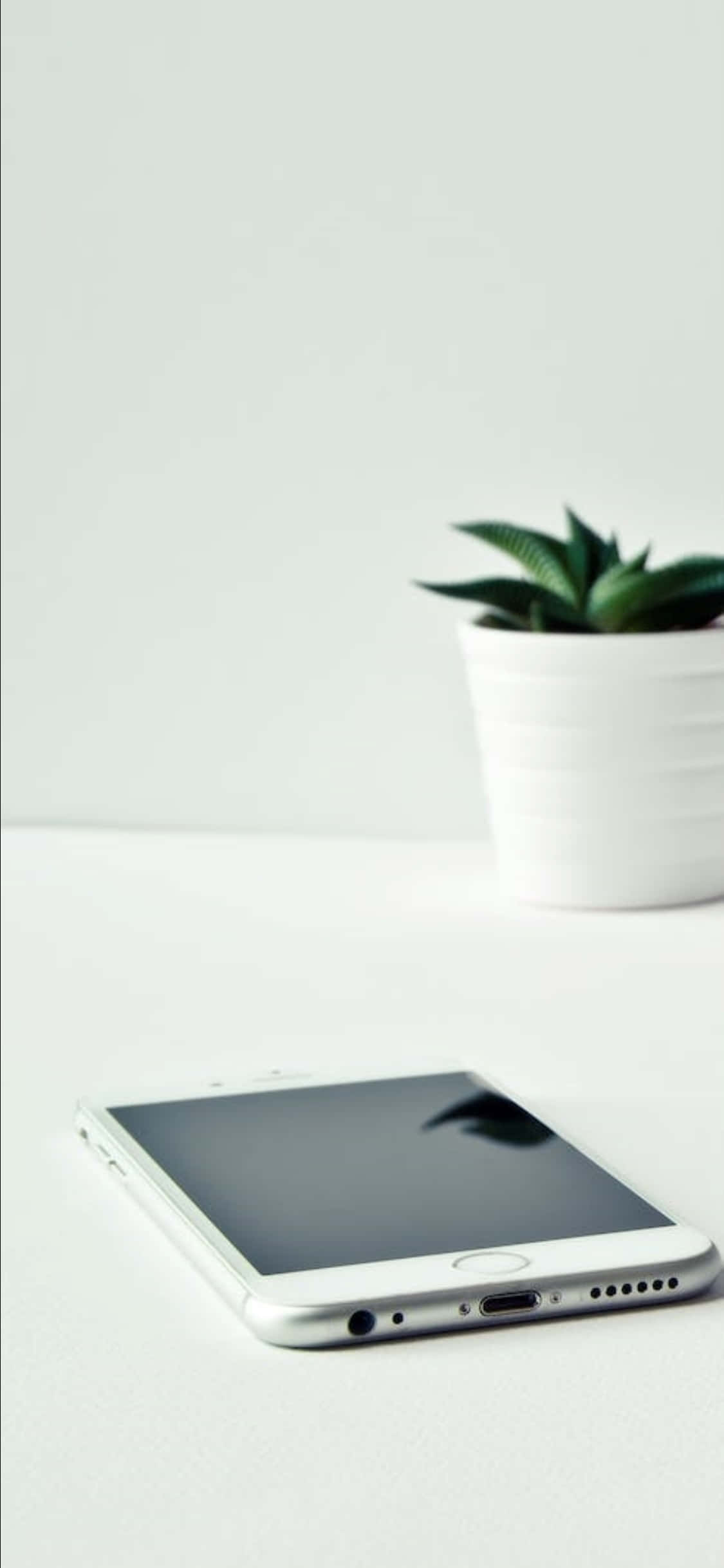 Φόντο Γραφείου iPhone X Λευκό Τηλέφωνο και Φυτό Ταπετσαρία
