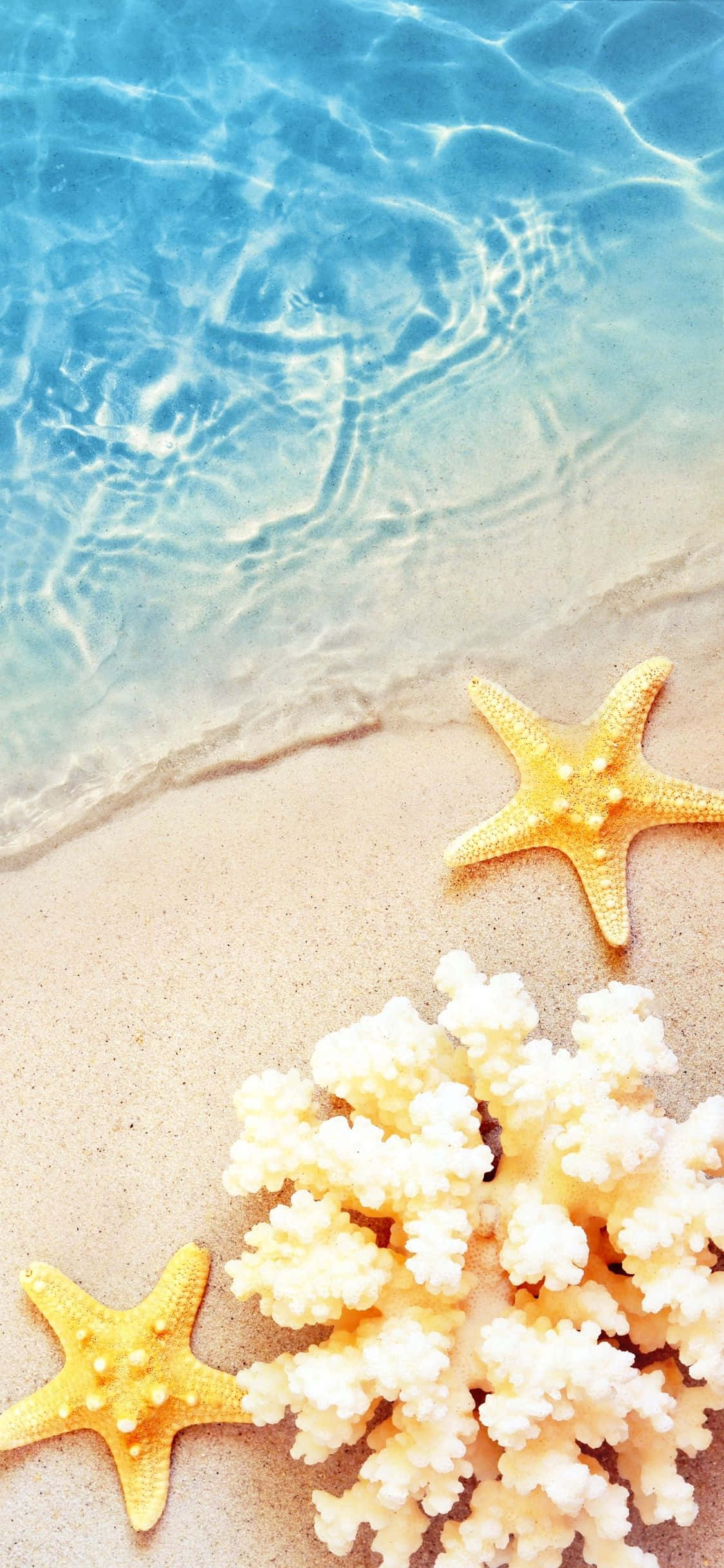 Αστερίες και Κοράλλι Φόντο iPhone X Summer Ταπετσαρία