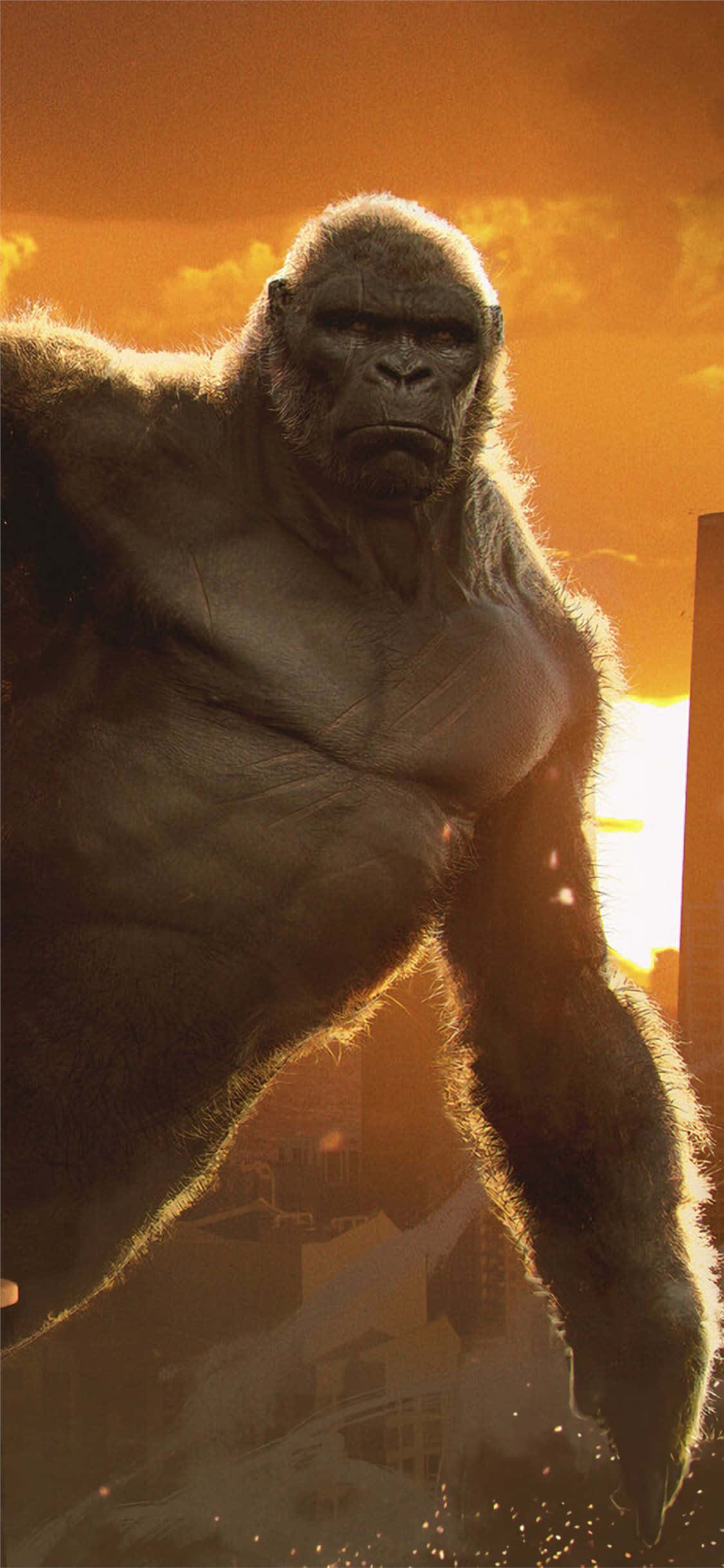 Φόντο Γορίλα iPhone Xs Max από την Ταινία King Kong Ταπετσαρία