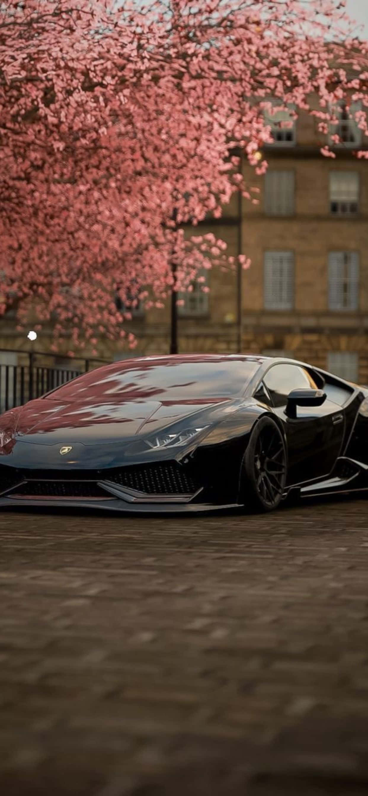 Φόντο iPhone XS Max Lamborghini Cherry Blossom Ταπετσαρία