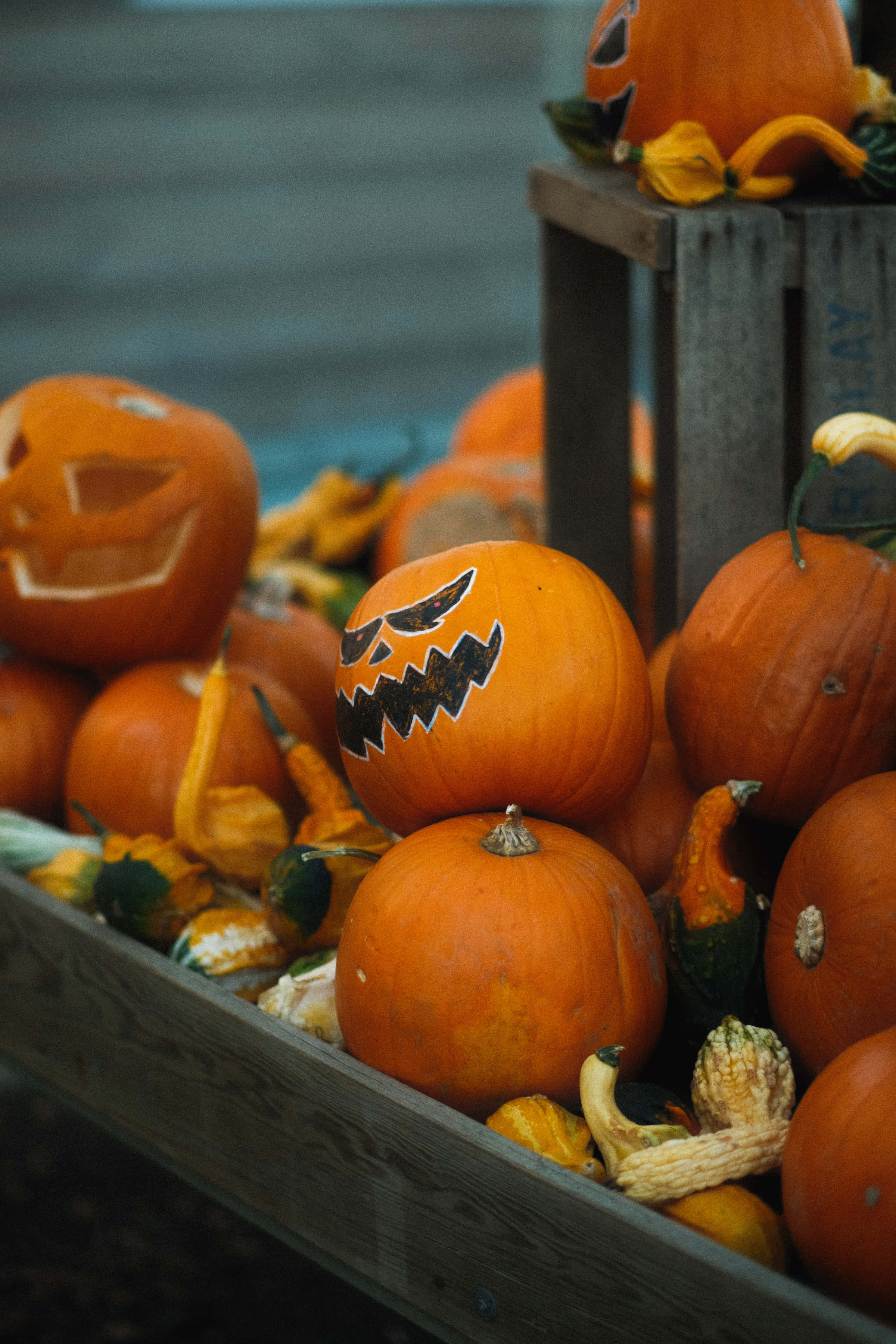 Μικροσκοπικό Jack-O-Lantern Υψηλής Ανάλυσης Φόντο Halloween Ταπετσαρία