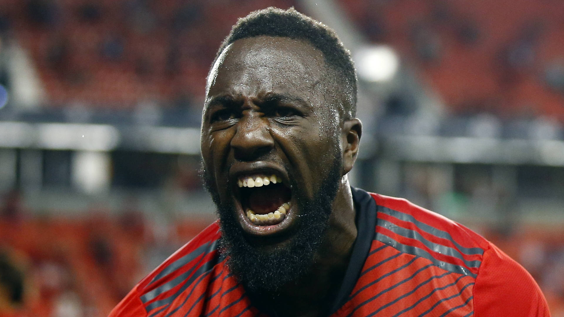 Κοντινό Πλάνο Ουρλιαχτού Jozy Altidore Ταπετσαρία