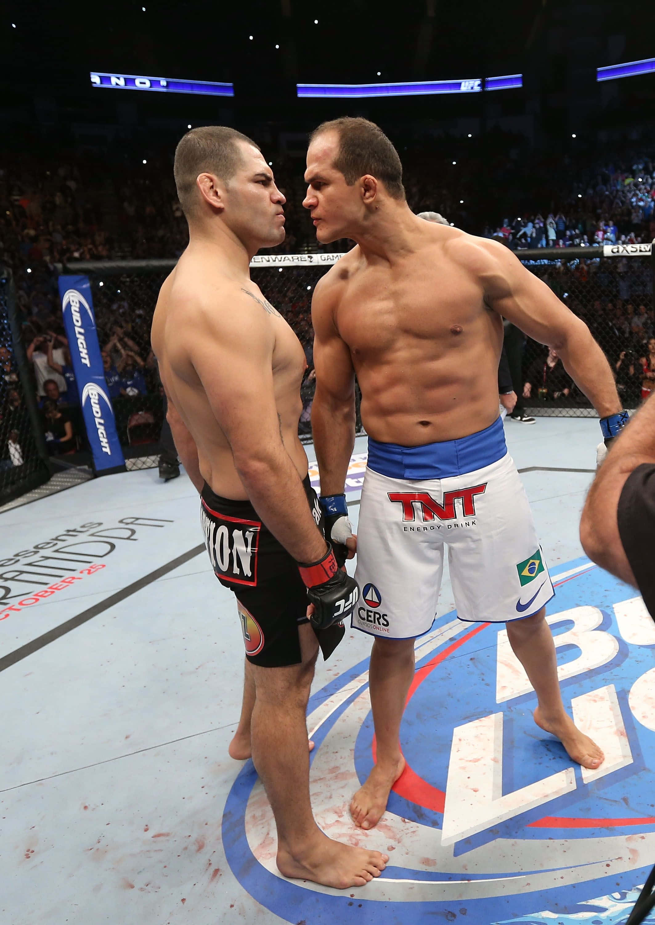 Junior Dos Santos UFC On Fox 1 Ταπετσαρία
