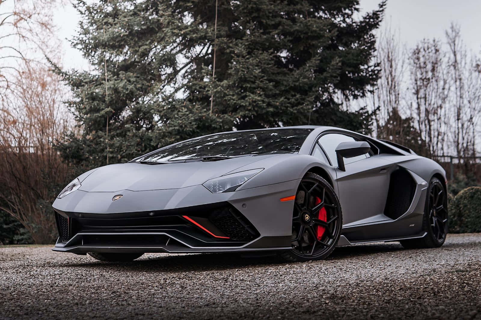 ένα γκρι lamborghini παρκαρισμένο μπροστά από ένα δέντρο Ταπετσαρία